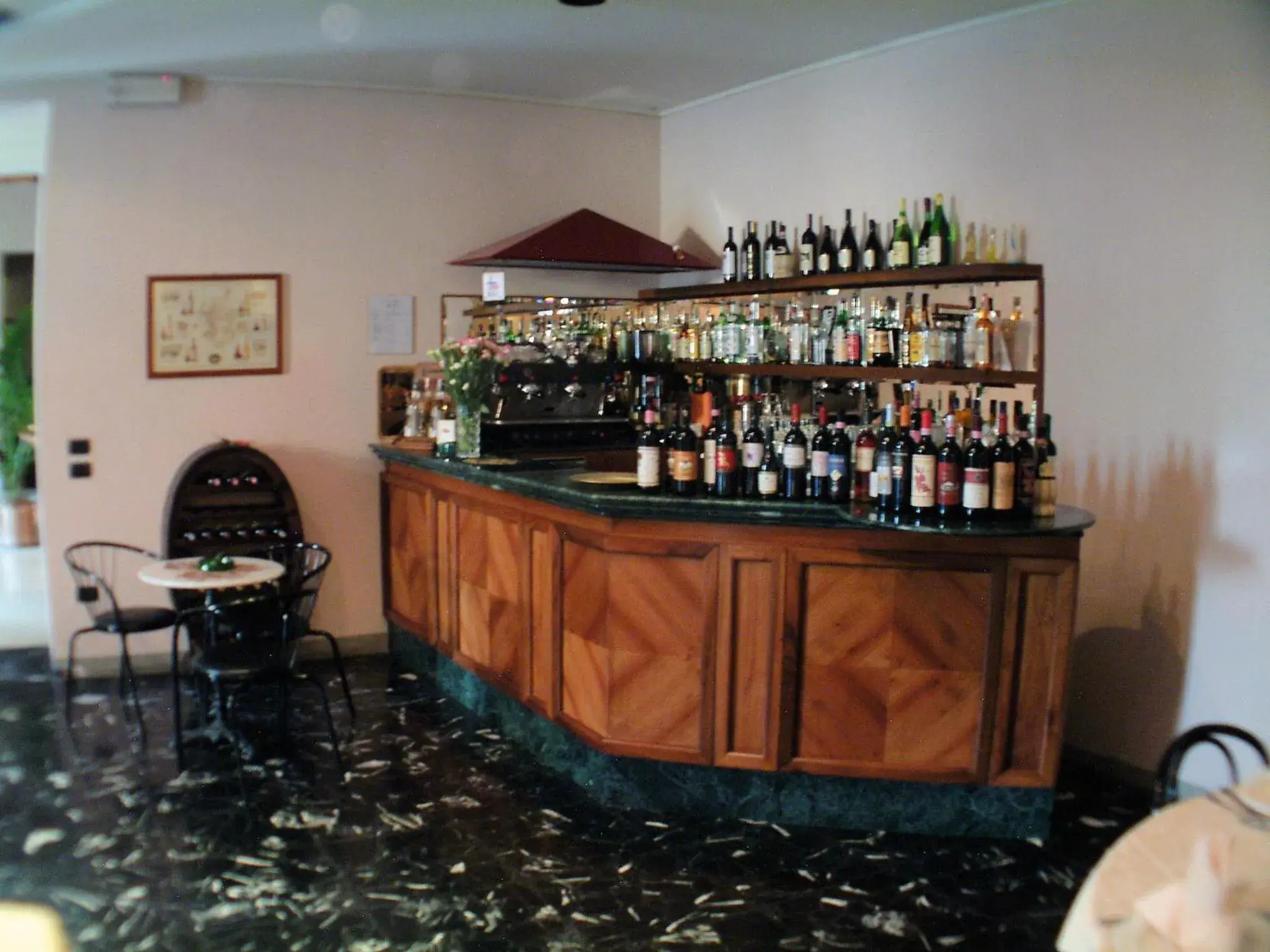 Restaurant/places to eat, Lounge/Bar in Hotel Savoia & Campana