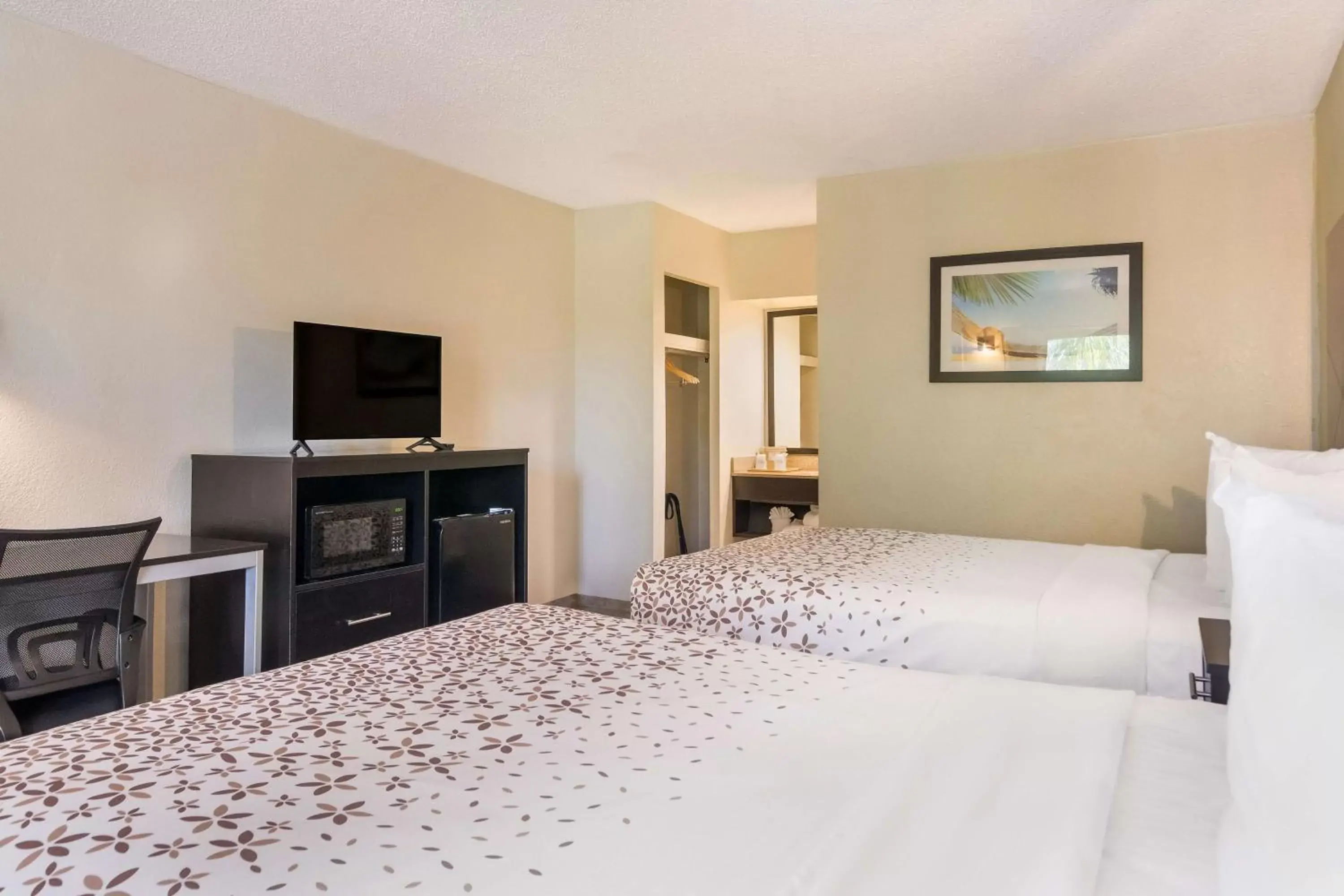 Bedroom, Bed in SureStay Hotel by Best Western St Pete Clearwater Airport