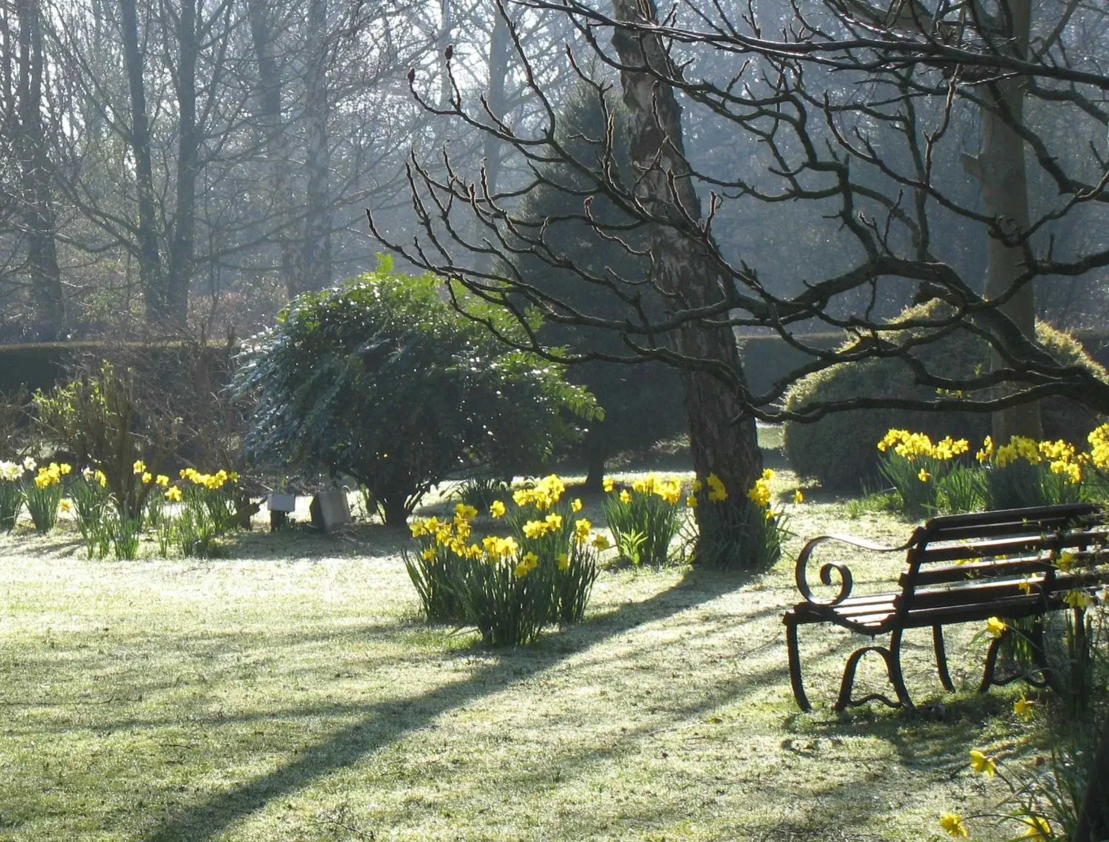 Spring, Garden in Old Rectory Hotel, Crostwick