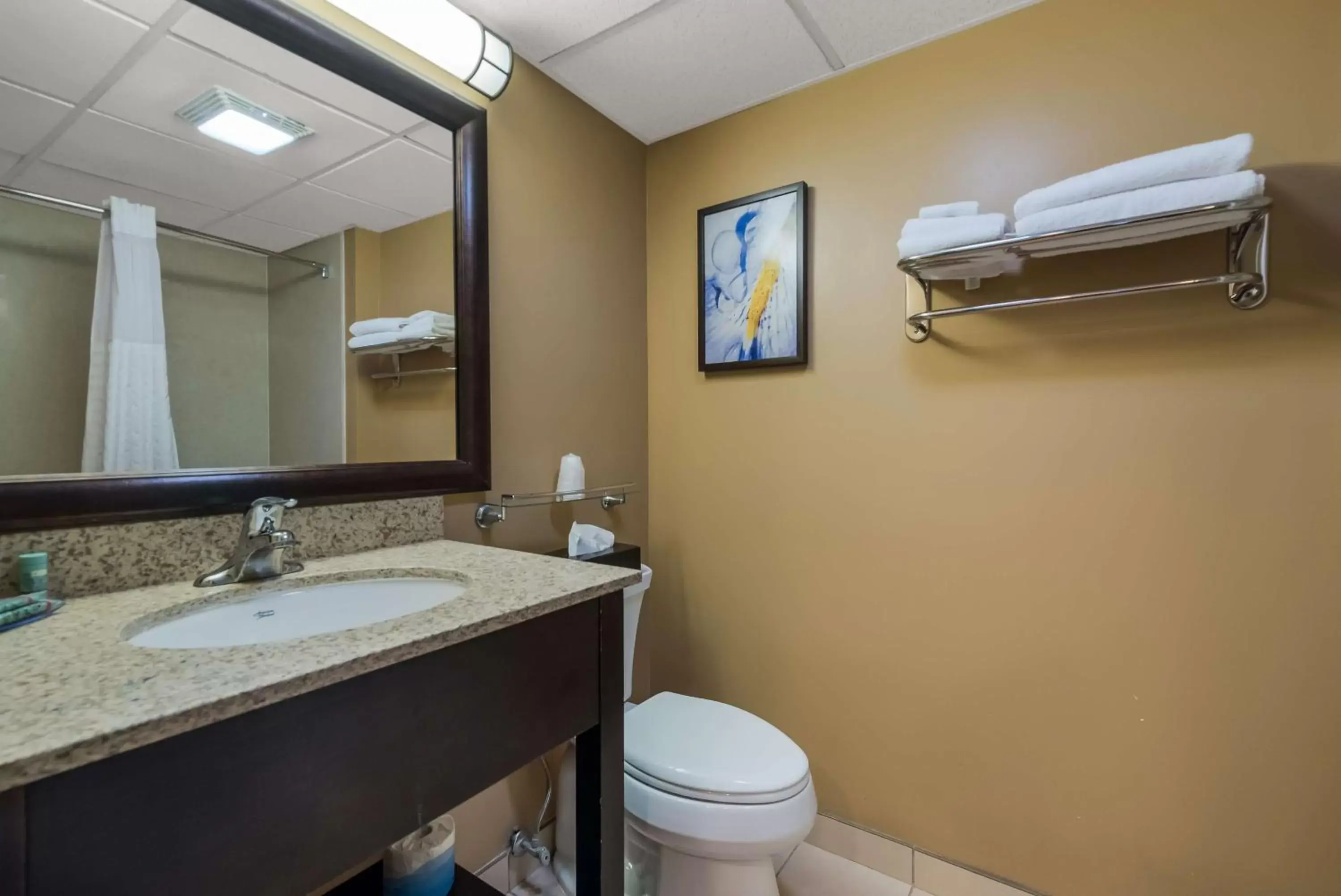 Bathroom in Best Western Philadelphia South - West Deptford Inn