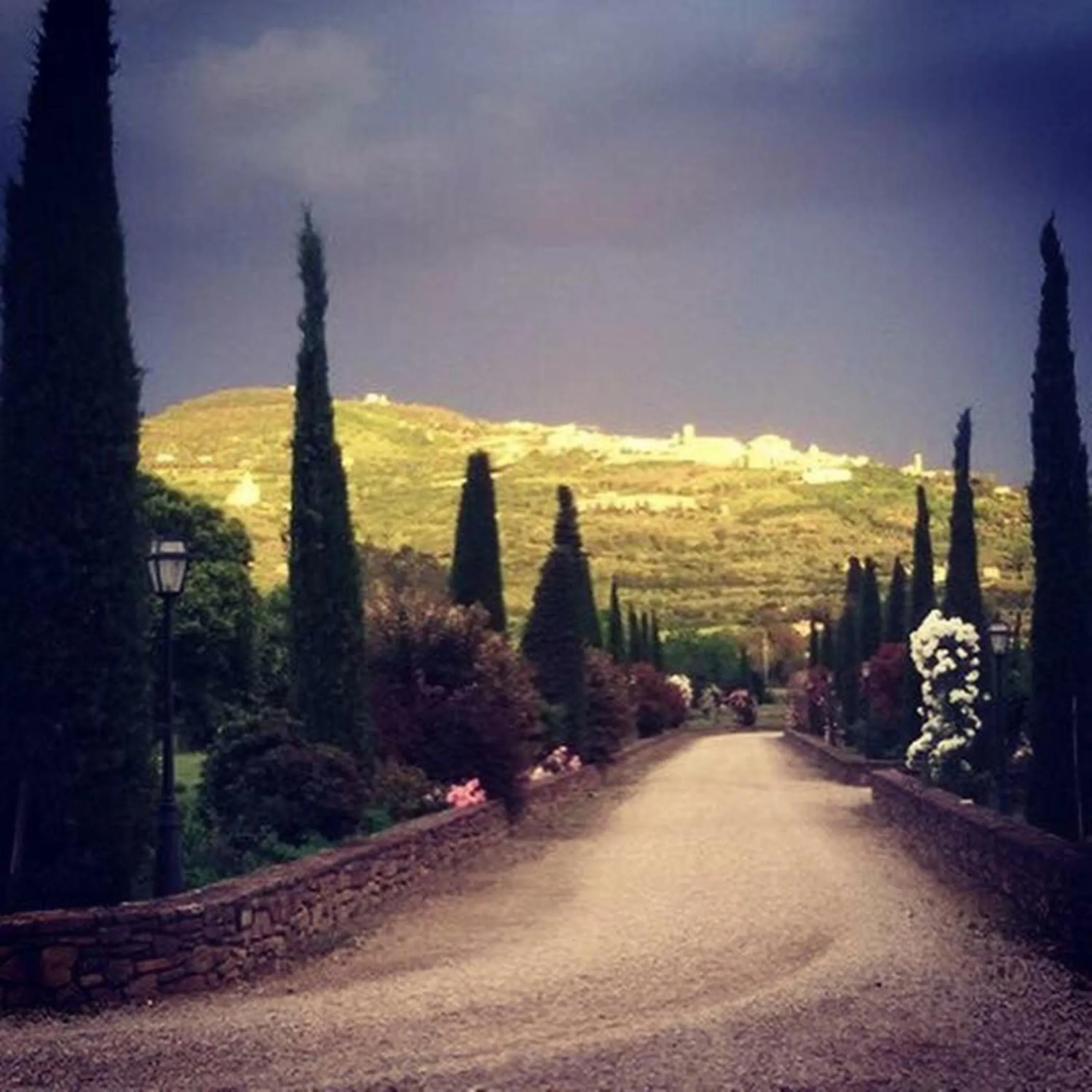 On site in Relais Villa Baldelli