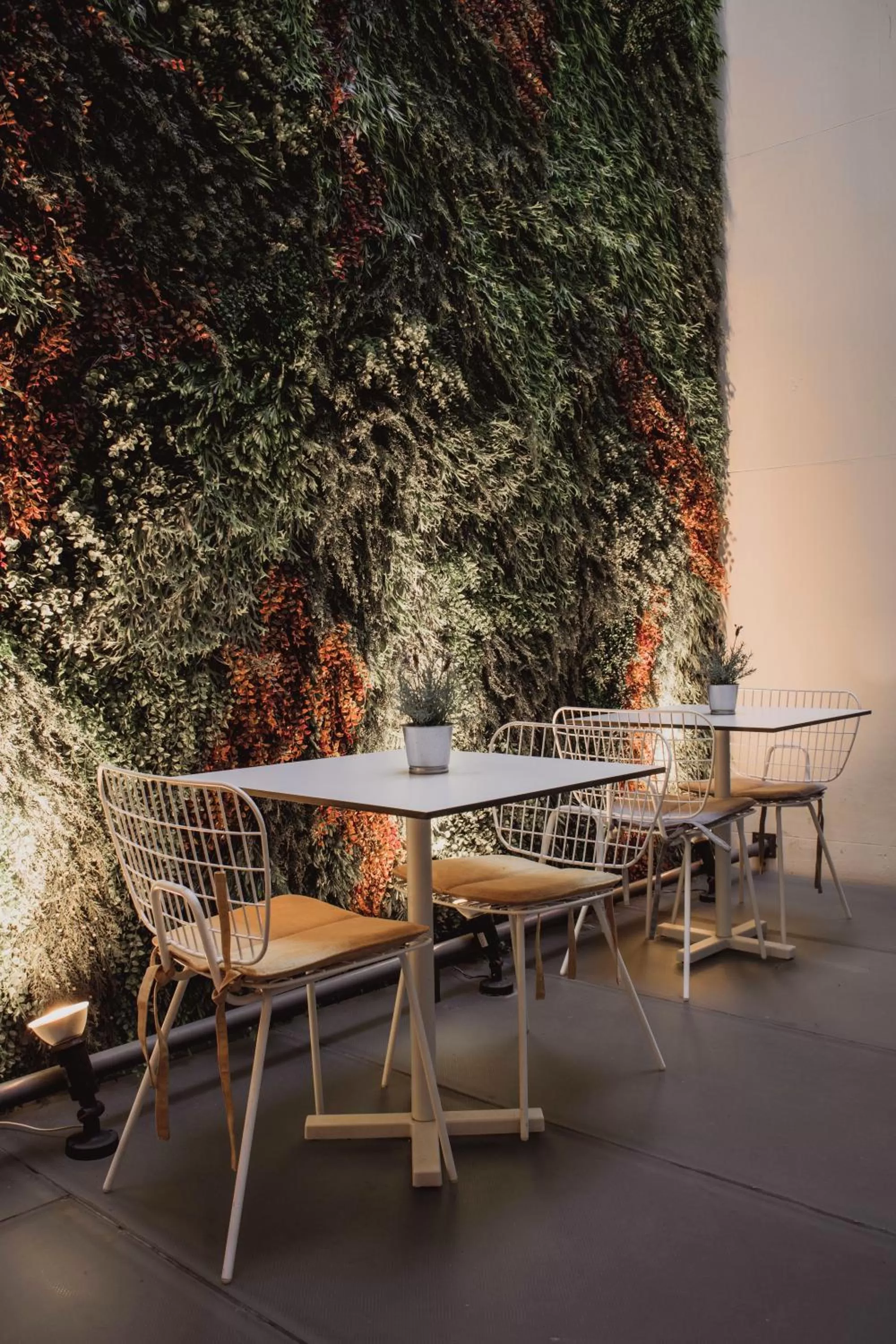 Patio in room Select Sol