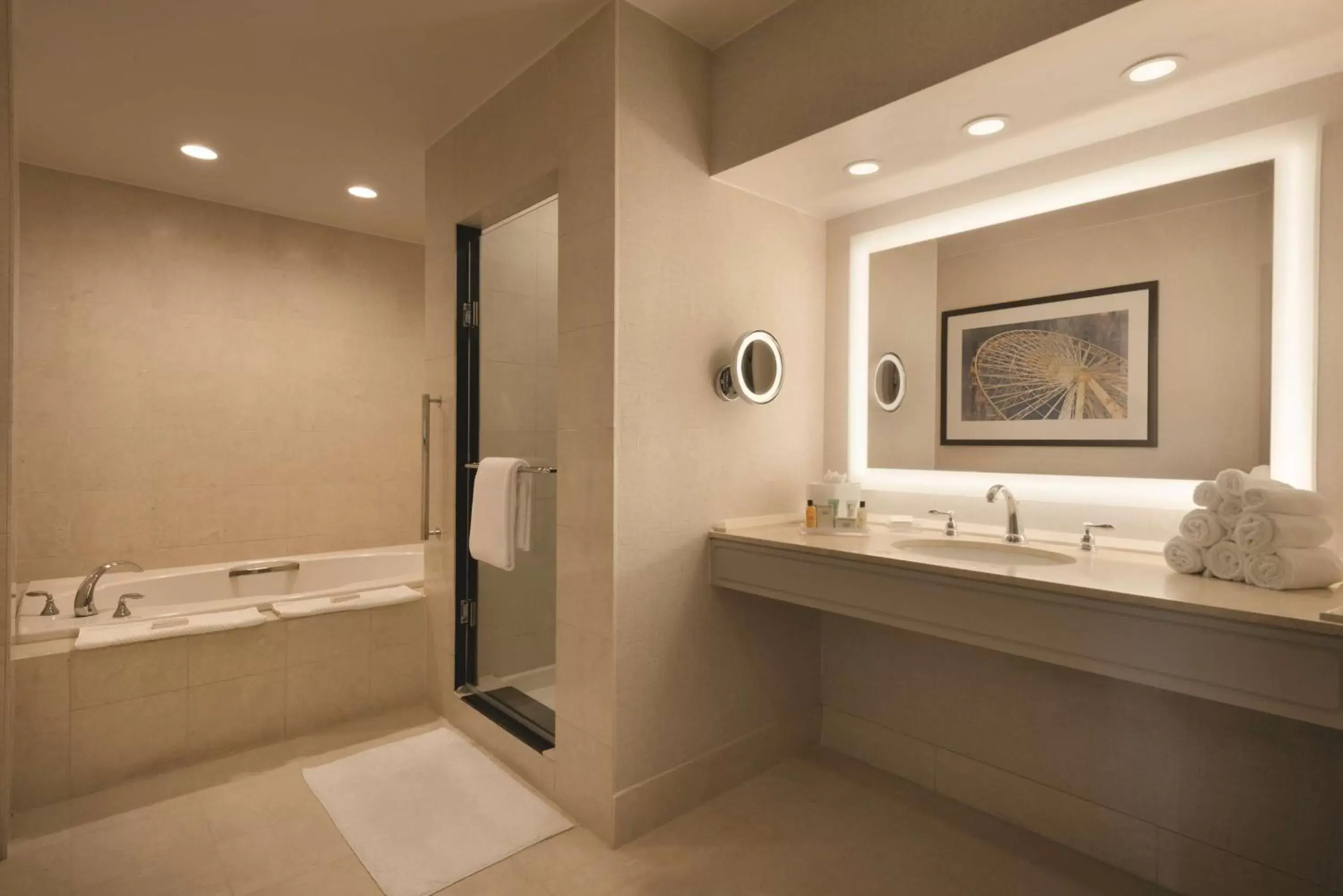 Bathroom in Hilton Chicago Magnificent Mile Suites