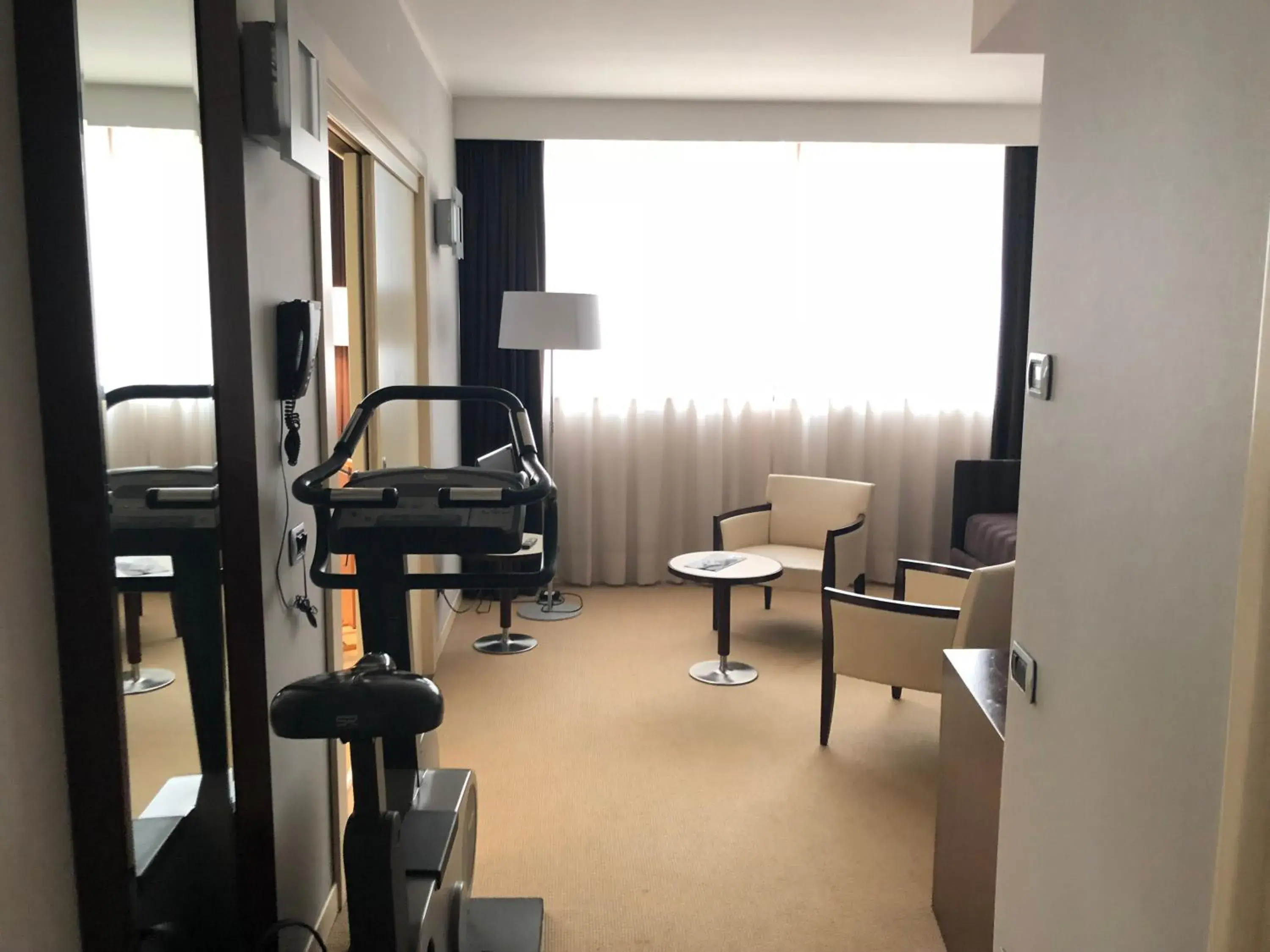 Living room, Fitness Center/Facilities in Italiana Hotels Cosenza