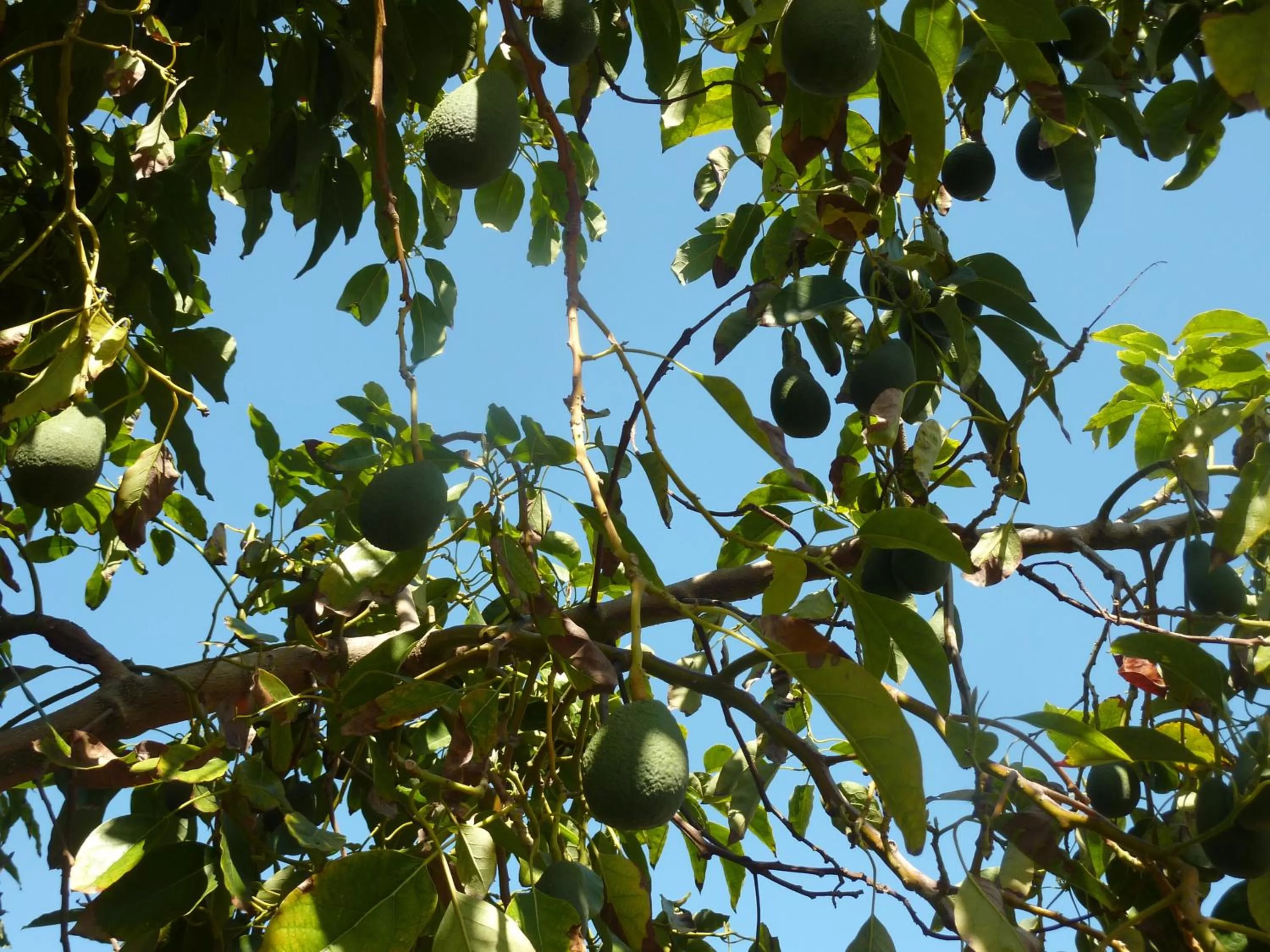 Other in Aphrodite Beach Hotel