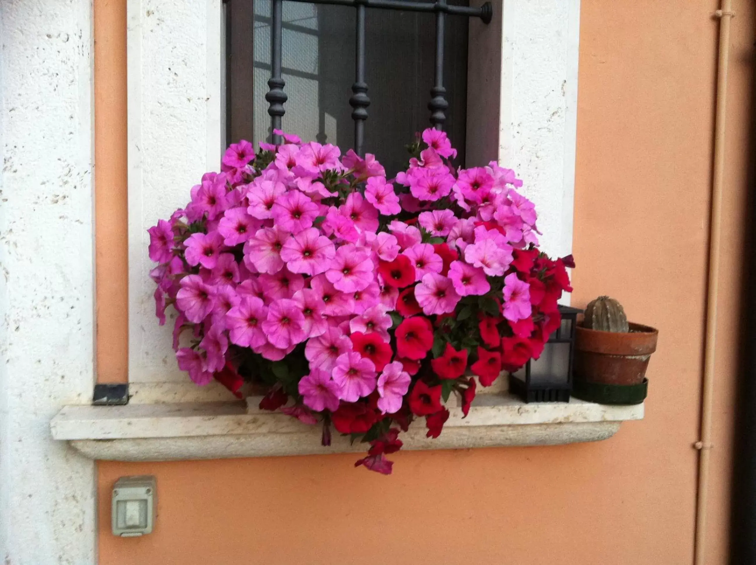 Facade/entrance in Agriturismo La Cantina