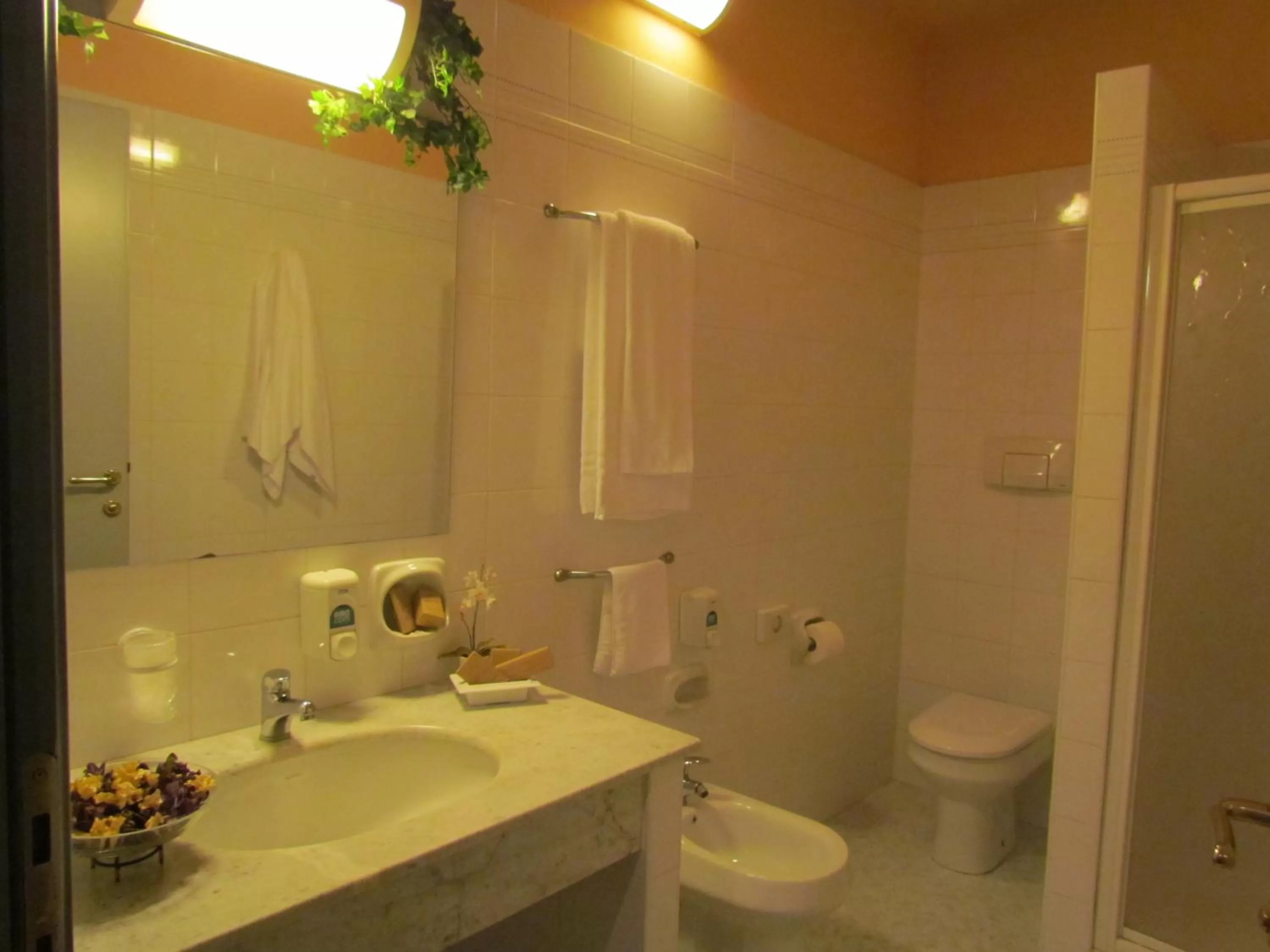 Superior Single Room in Hotel Le Cerbaie