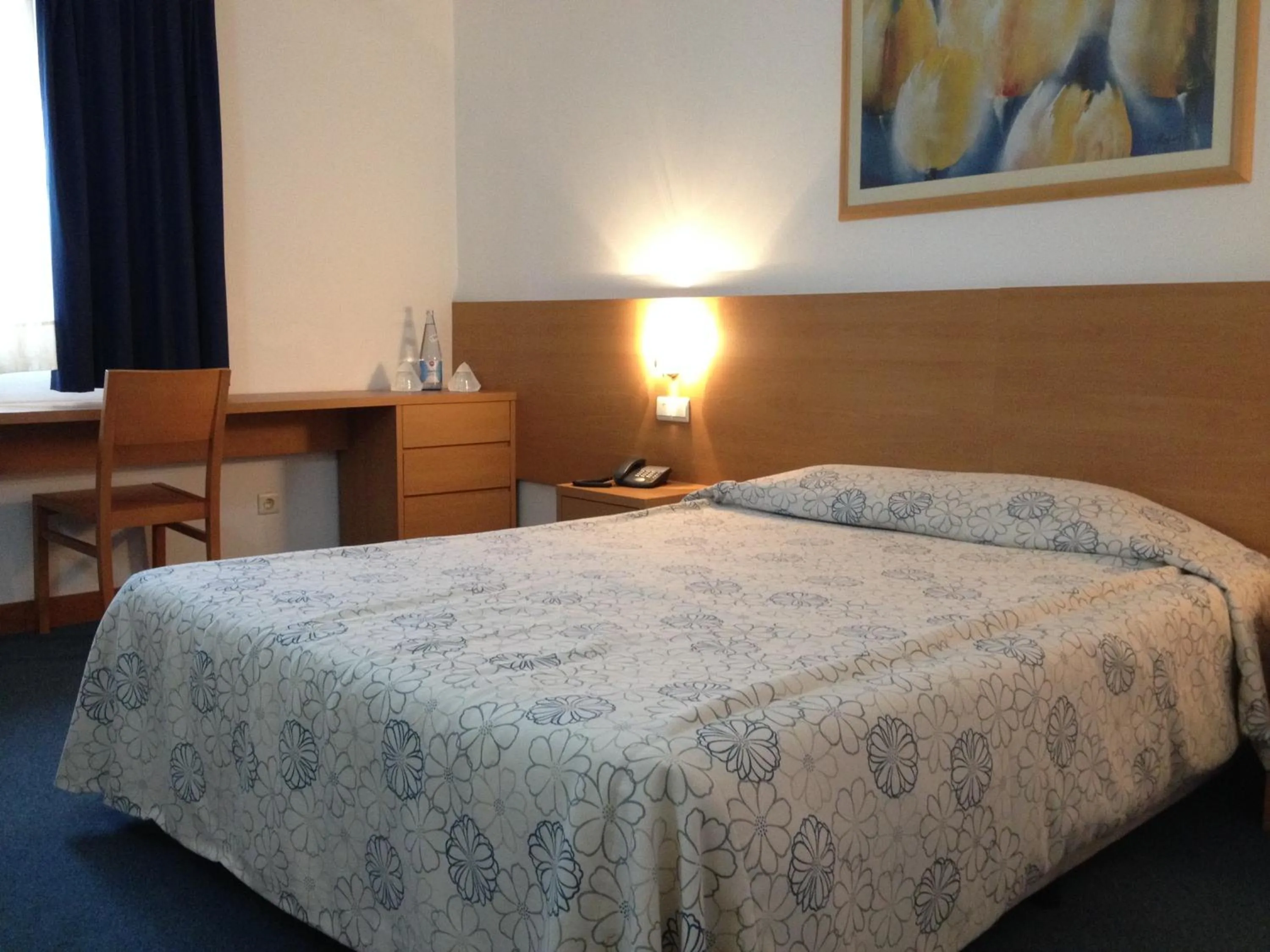 Double Room - single occupancy in Hotel Matriz