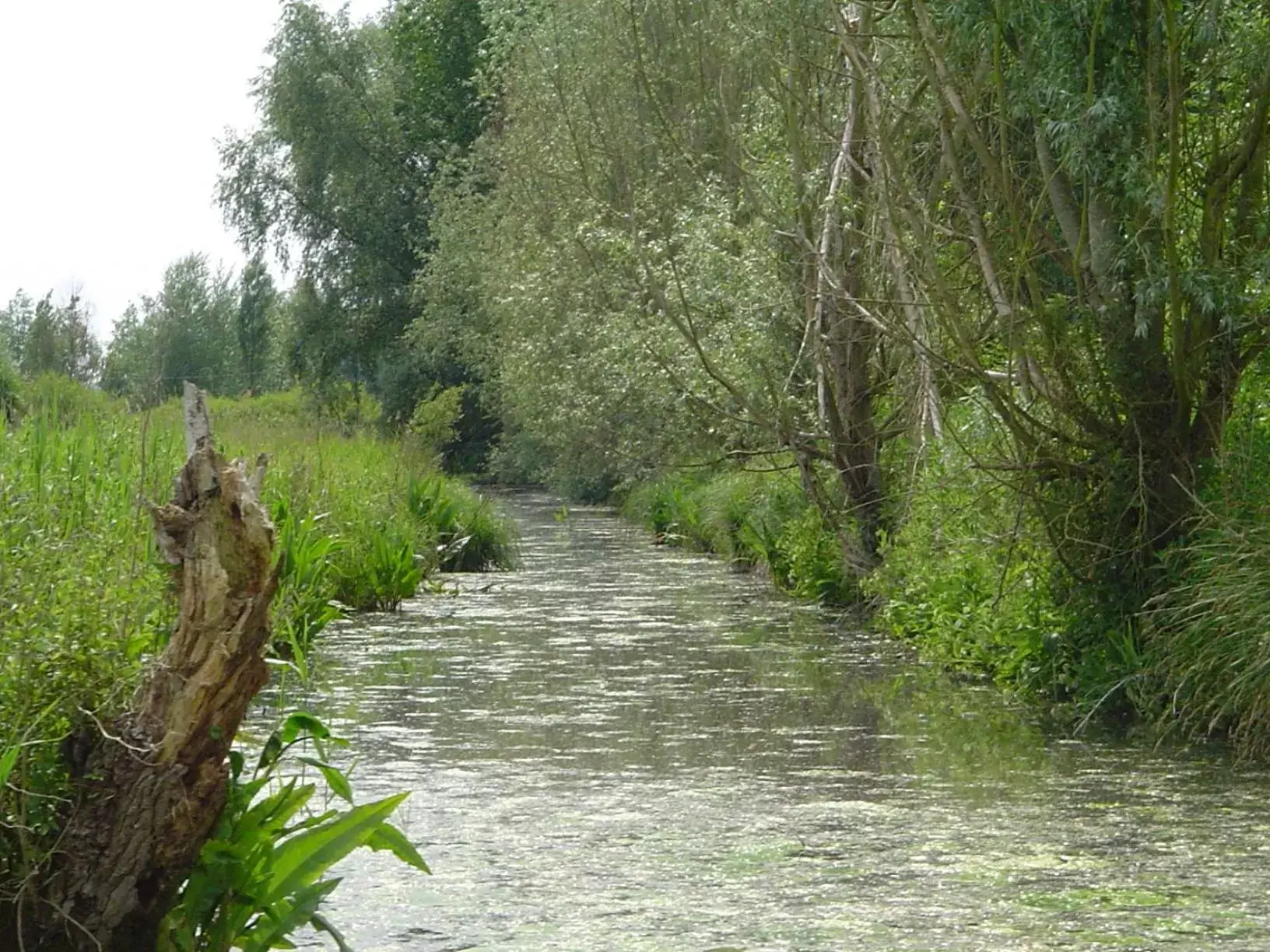 Natural landscape in ibis Saint-Omer Centre