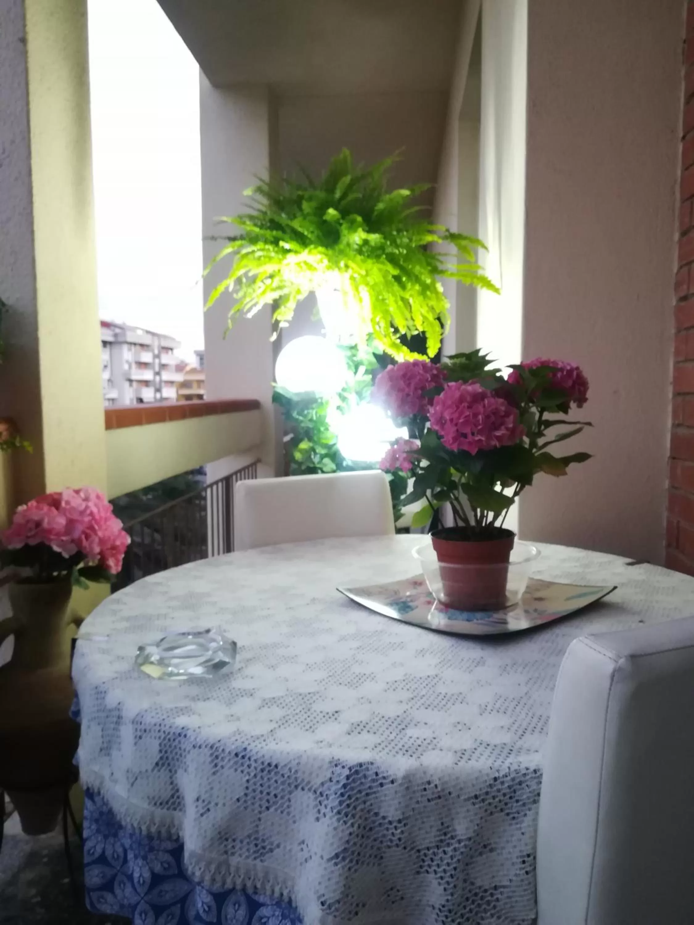 View (from property/room) in Domus Aurea