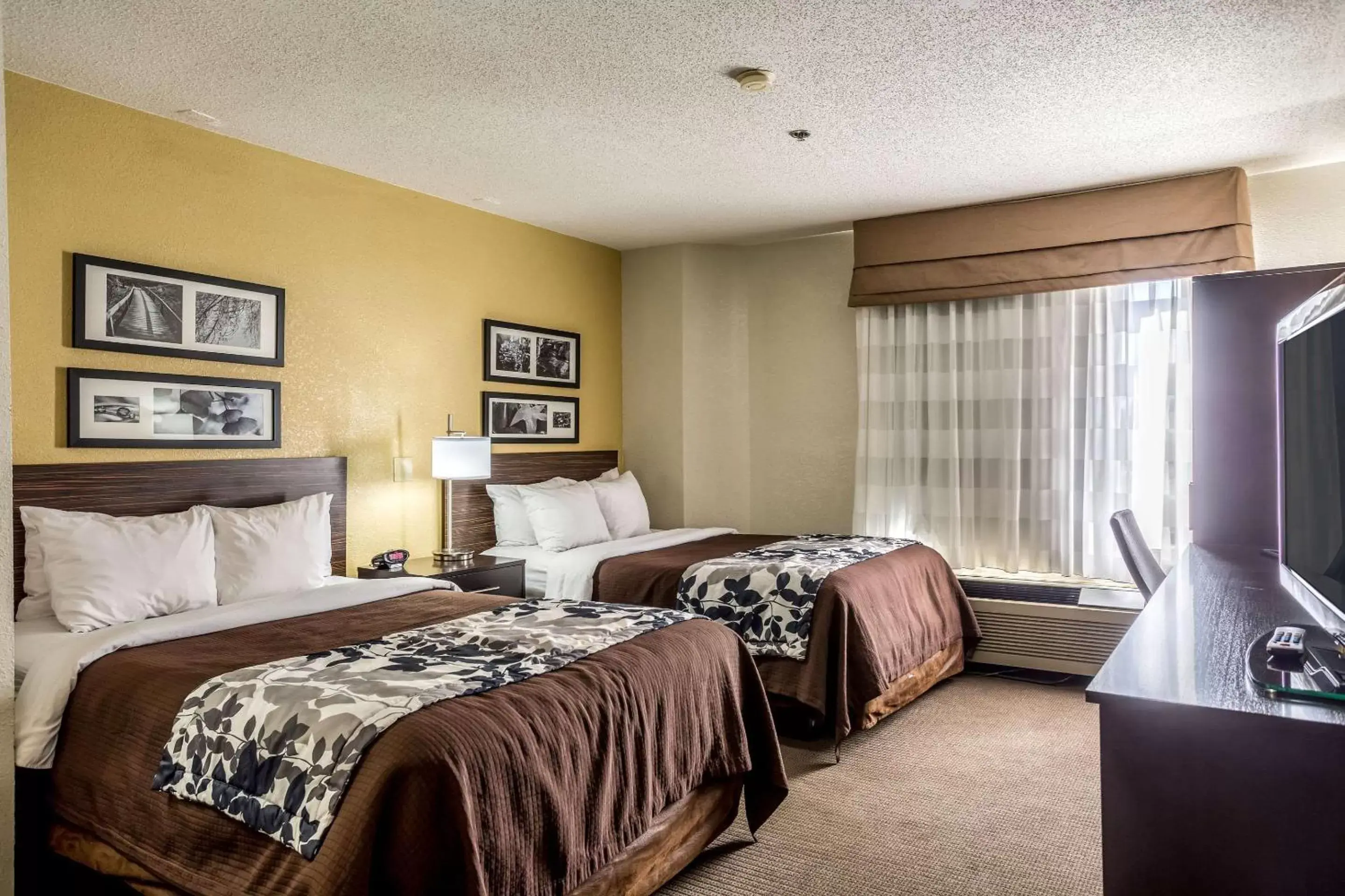 Photo of the whole room, Bed in Sleep Inn Owensboro