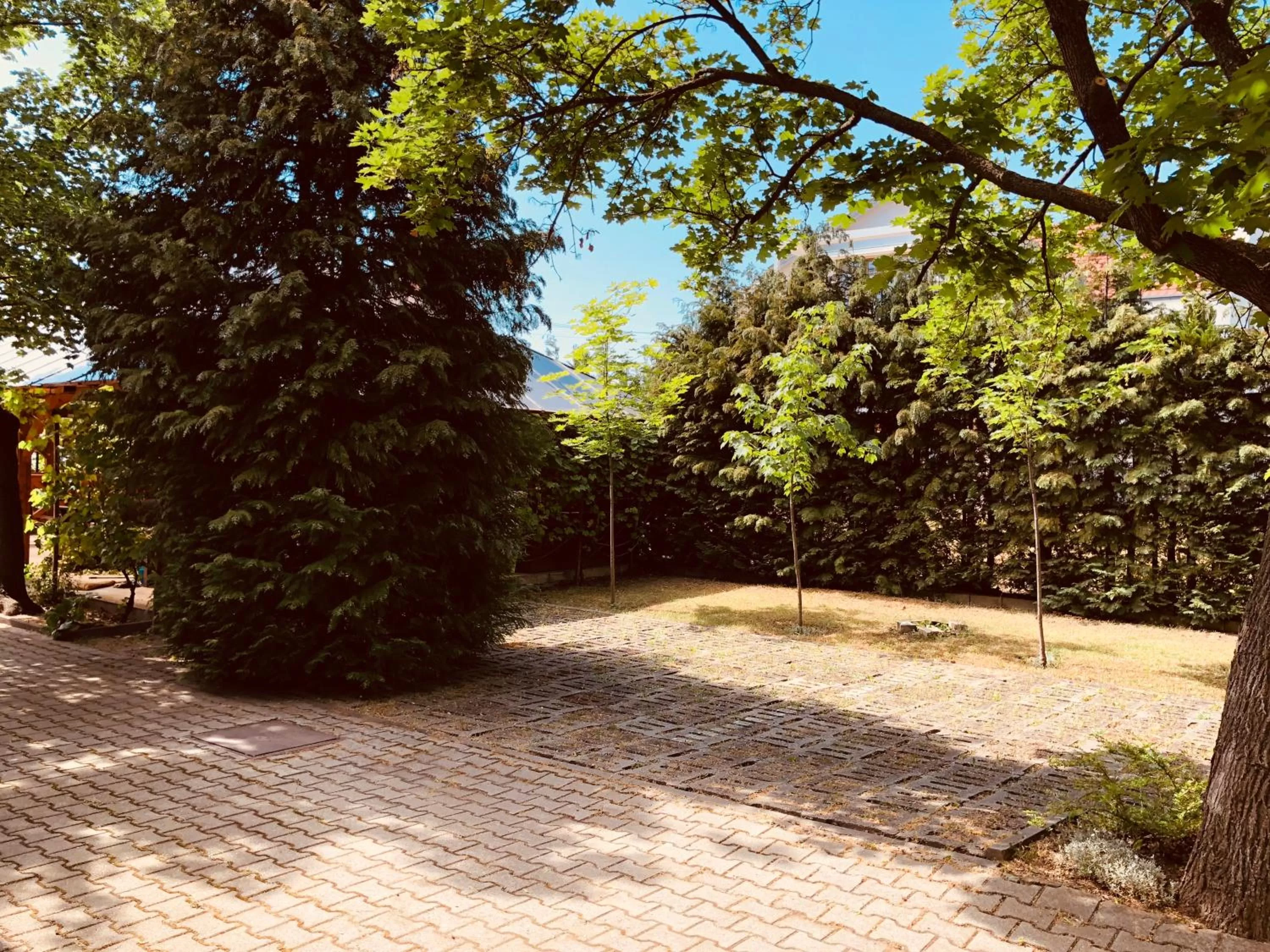 Garden in Zöldtető Panzió