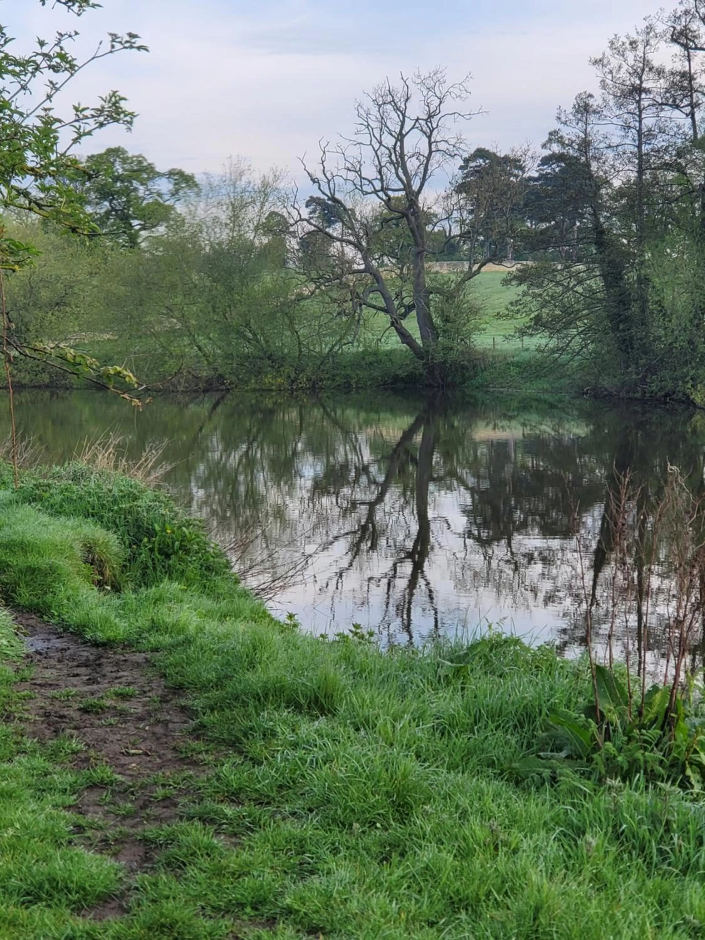 the jackdaw pub SELF CATERING STATIC CARAVAN free breakfast supplied