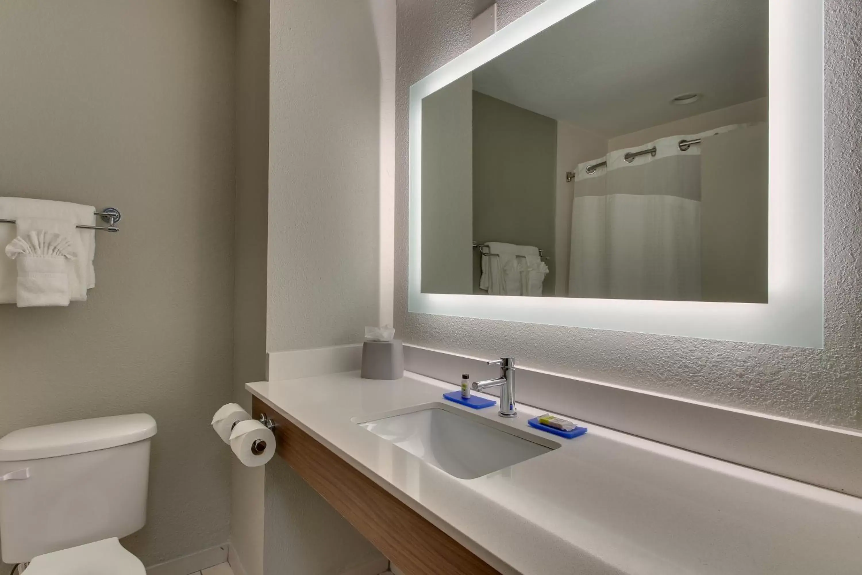 Bathroom in Holiday Inn Express West Palm Beach Metrocentre, an IHG Hotel