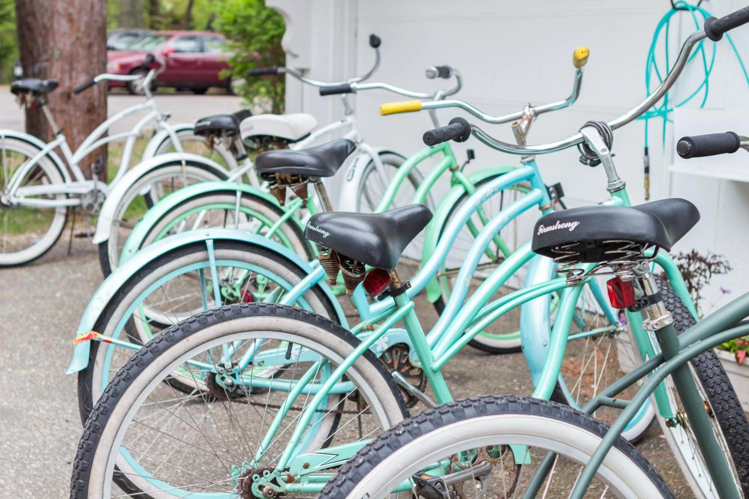 Day in The Lodge on the Cove