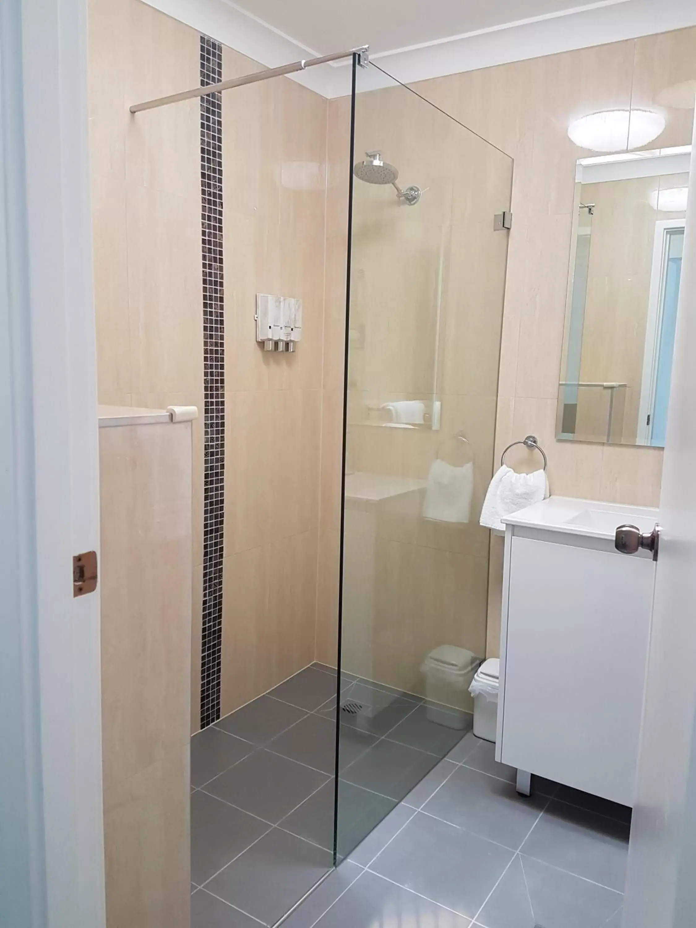 Shower, Bathroom in Mid City Motor Inn Singleton