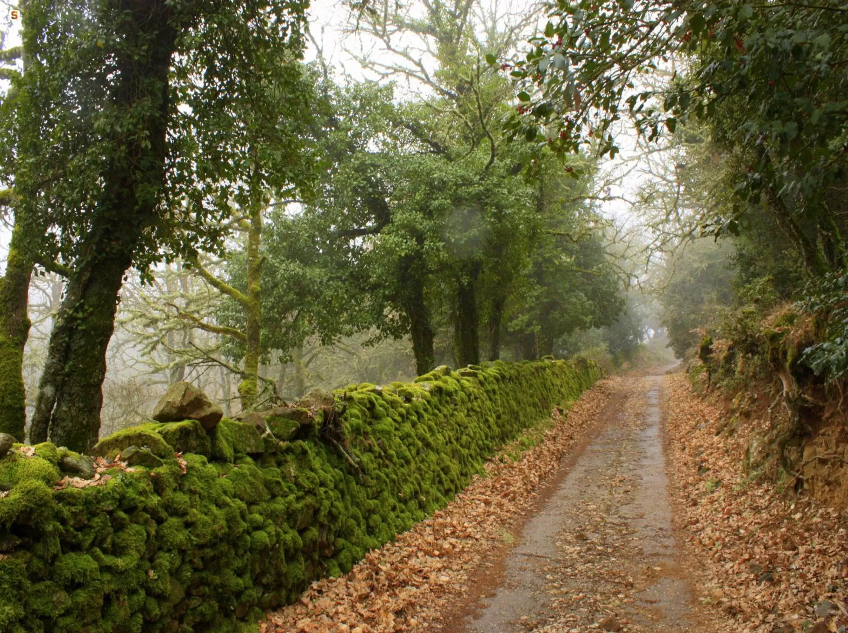 Natural landscape in B&B Armony Bono