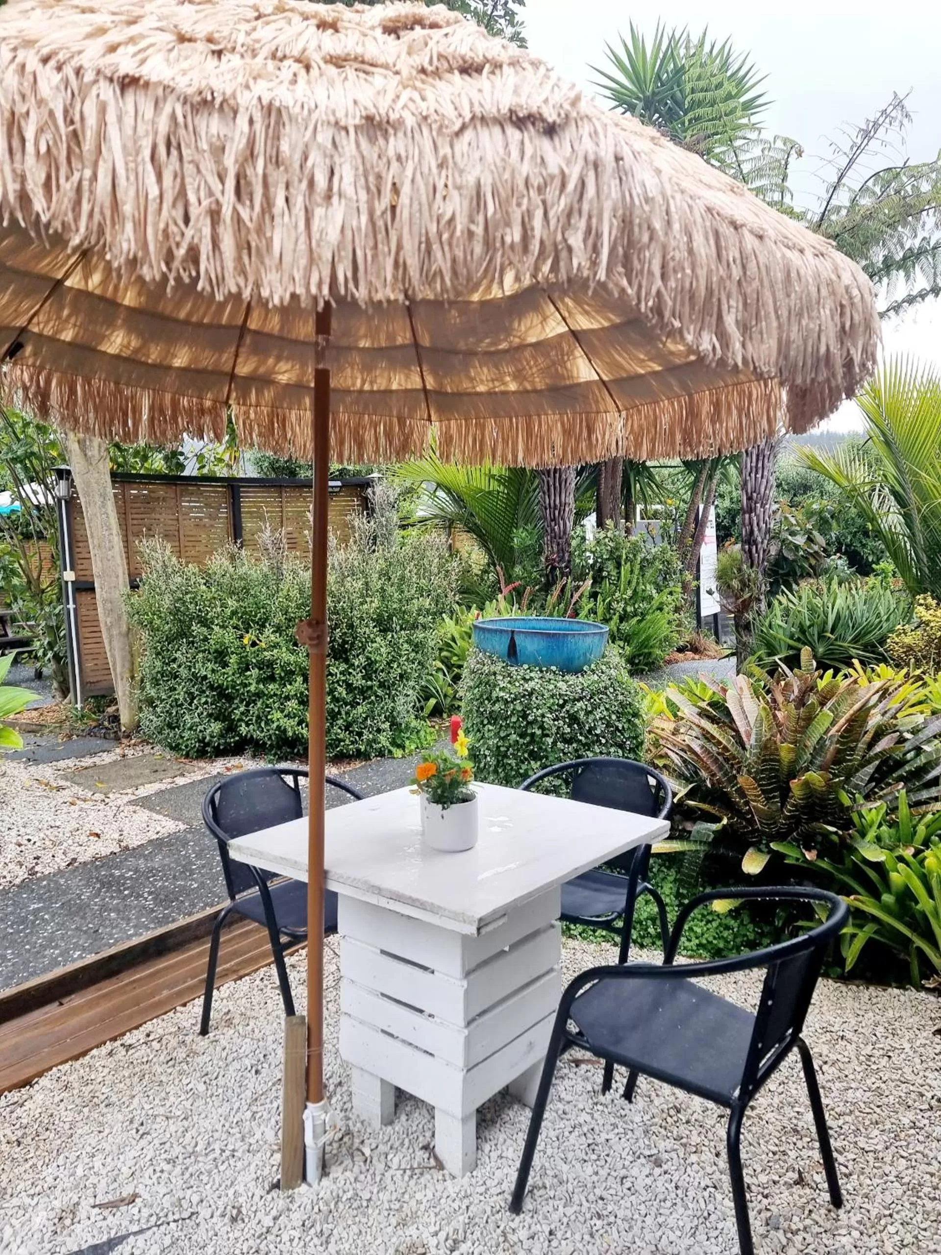 Garden in Southpacific Motel