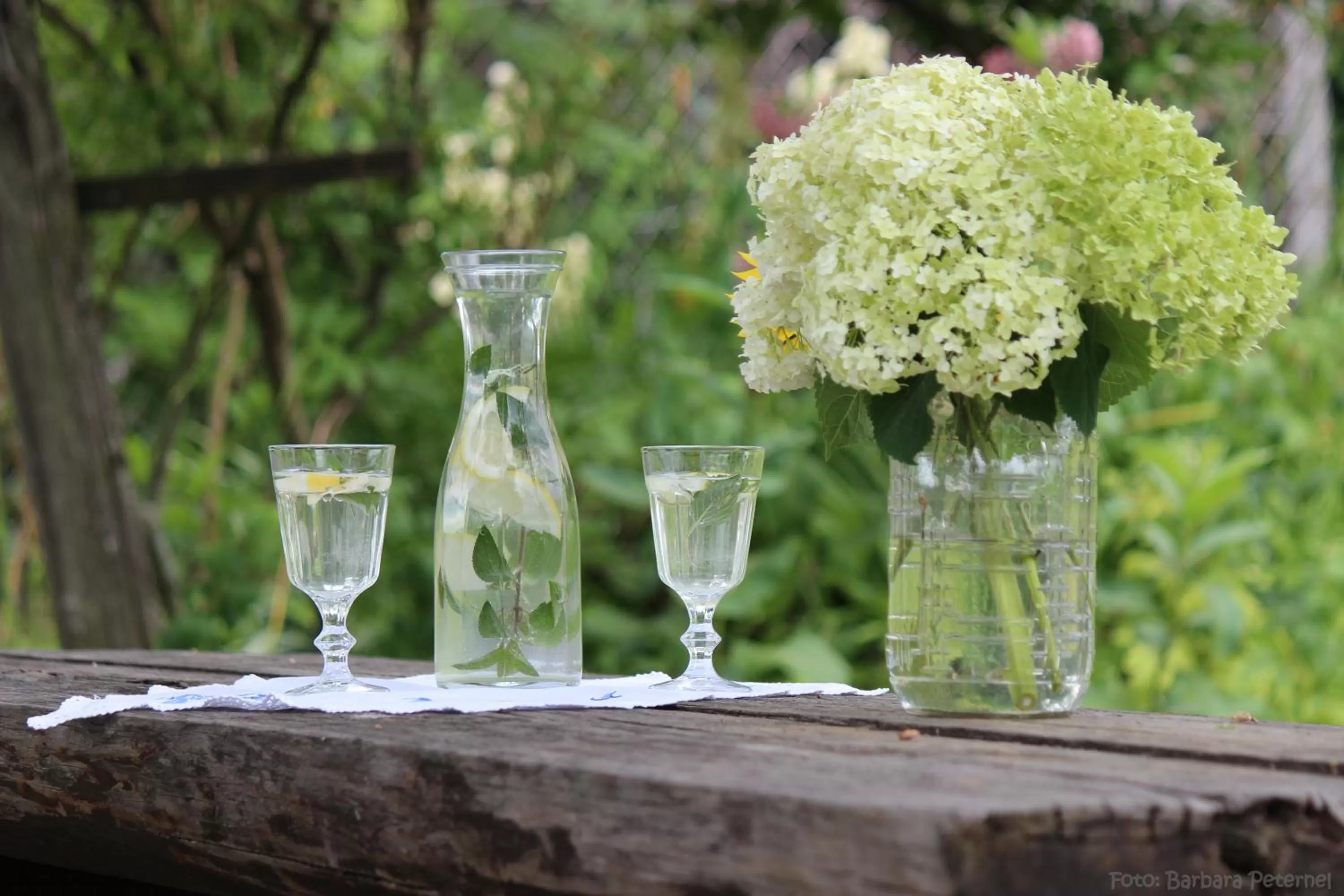 Non alcoholic drinks in Mala Kmetija