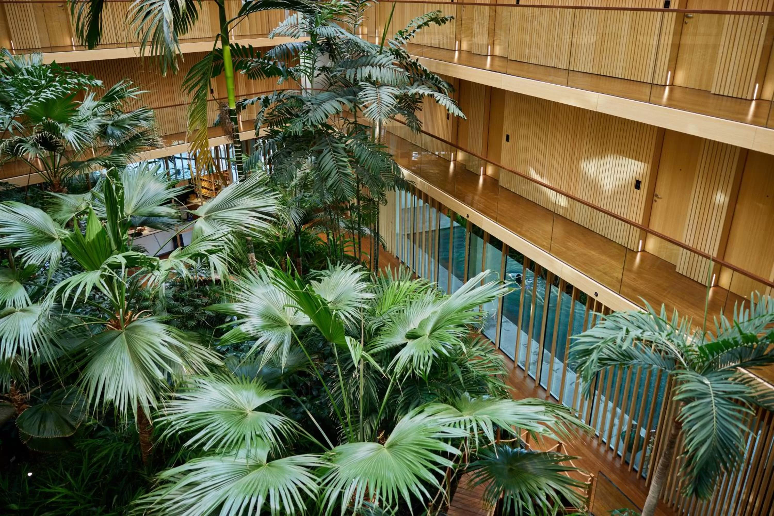 Area and facilities in Hotel Jakarta Amsterdam