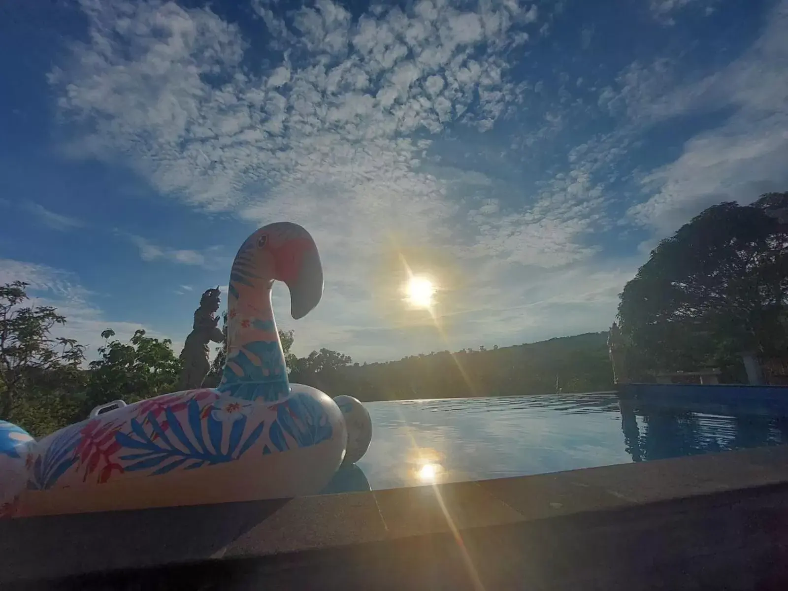 Pool view in Innora Jungle Resort And Spa Pool view in Innora Jungle Resort And Spa