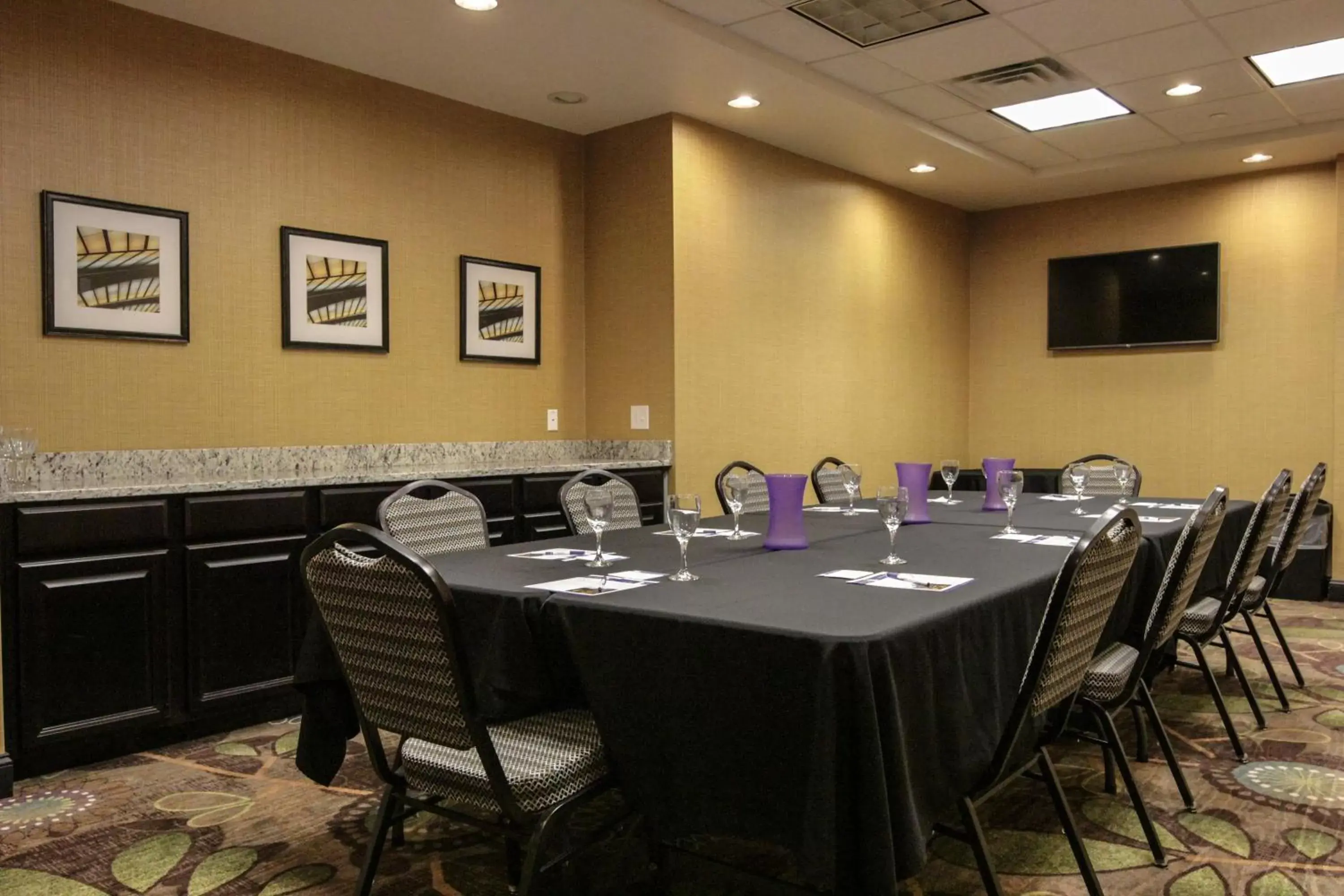 Meeting/conference room in Holiday Inn Express and Suites Montgomery, an IHG Hotel