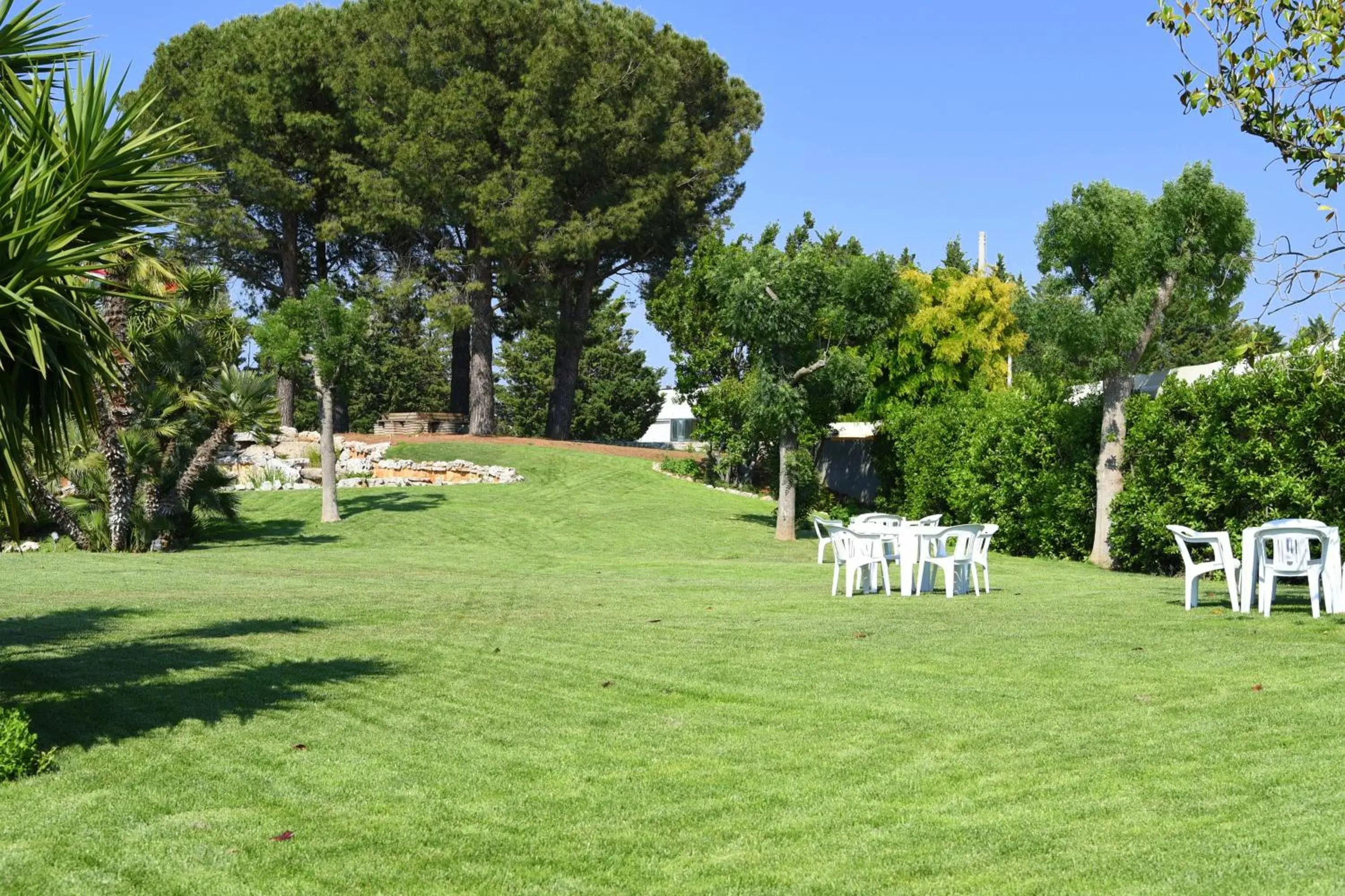 Garden in Hotel d'Aragona