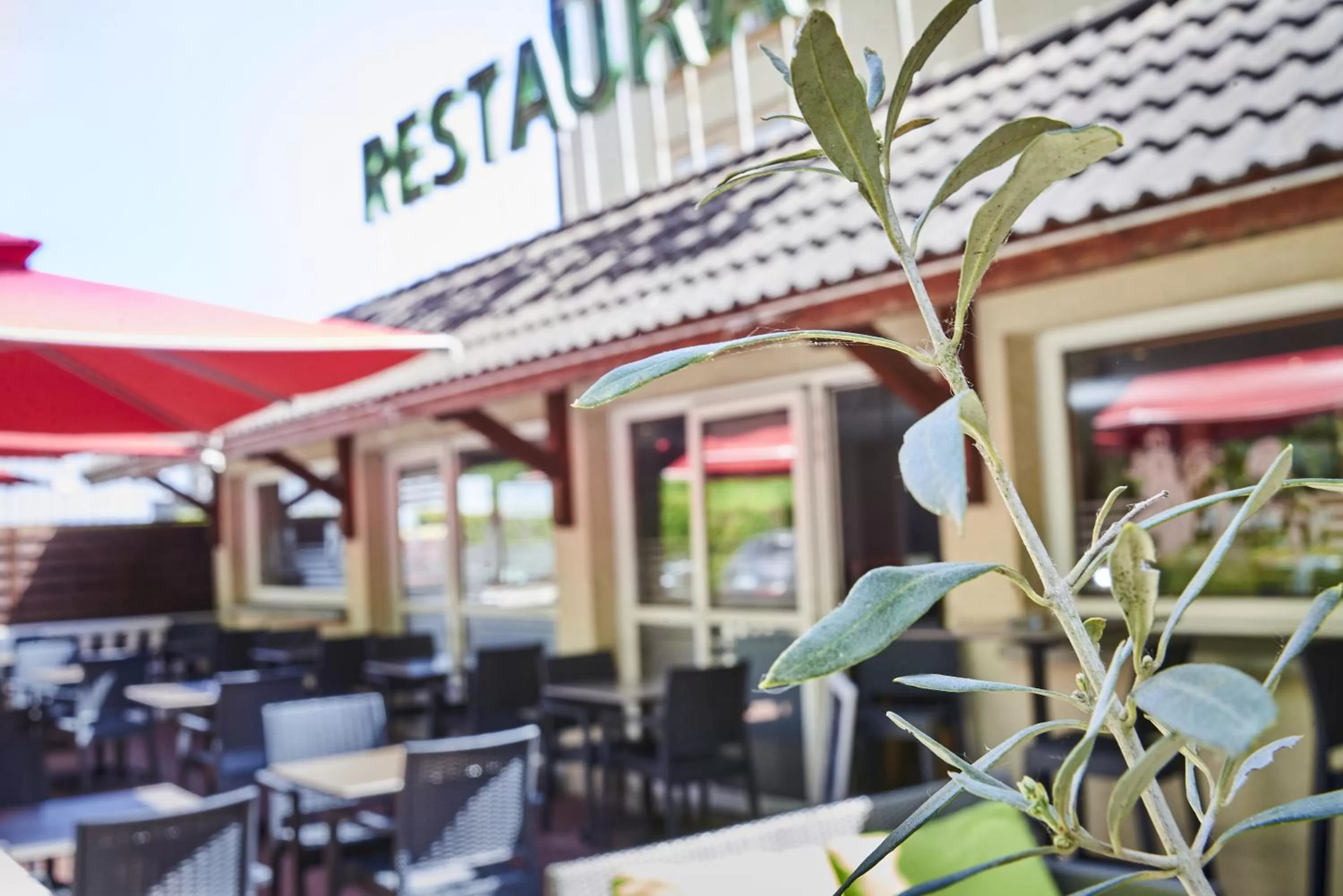 Restaurant/places to eat in Logis Bagatelle - 51530 Dizy