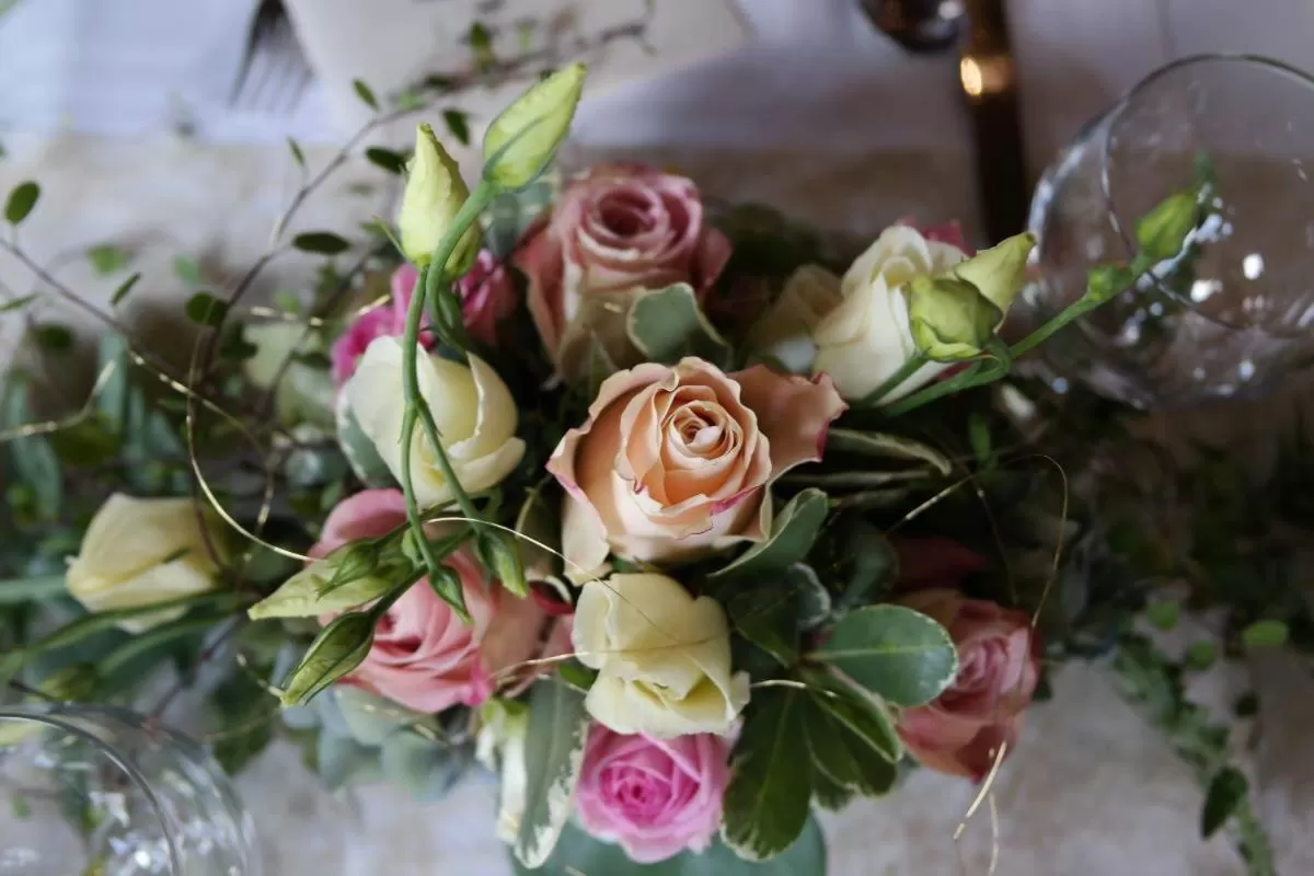 Other in Landhaus Tonmühle