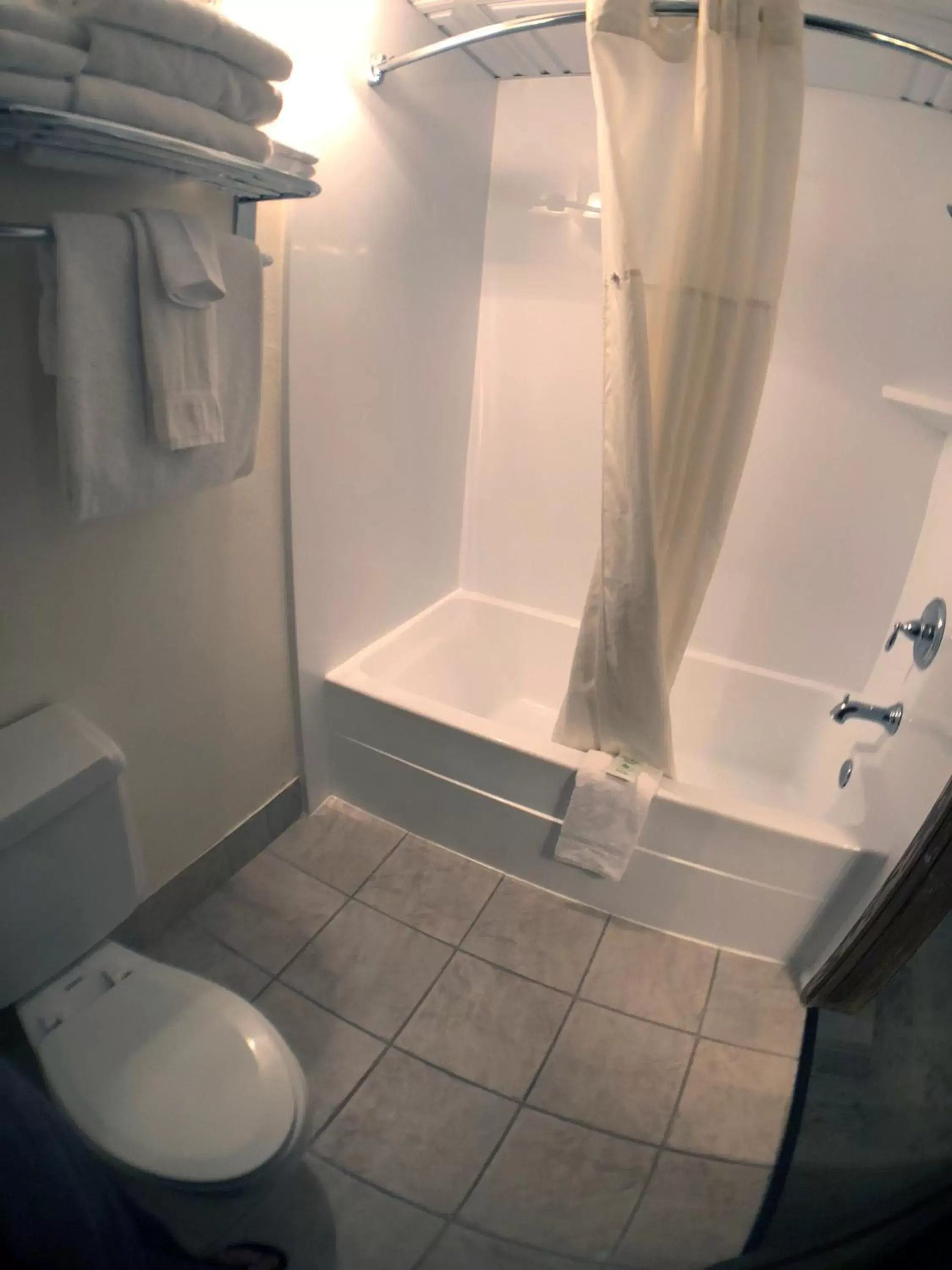 Shower, Bathroom in Bumbleberry Inn