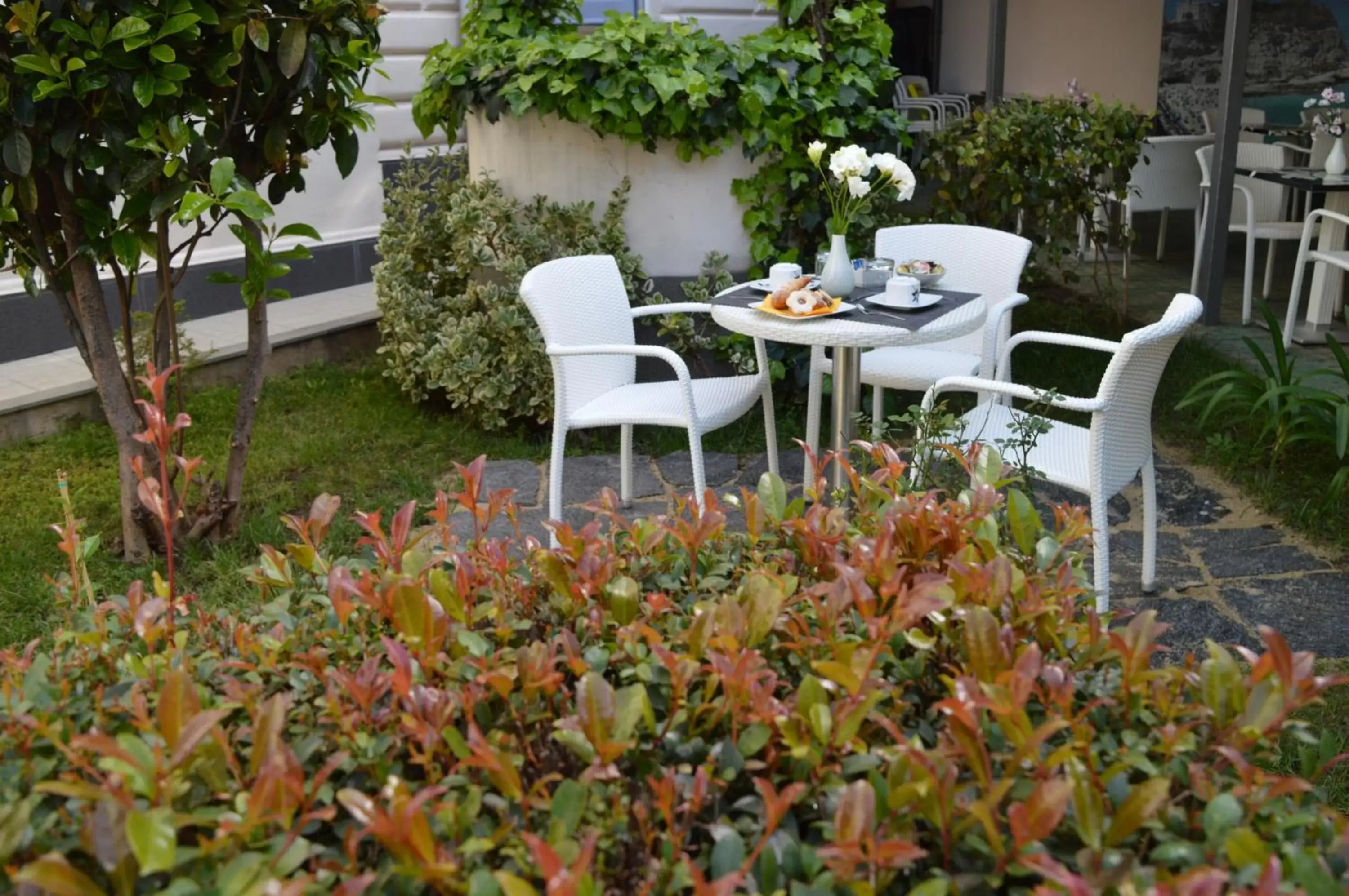 Garden in Villa Vittoria Tropea B&B