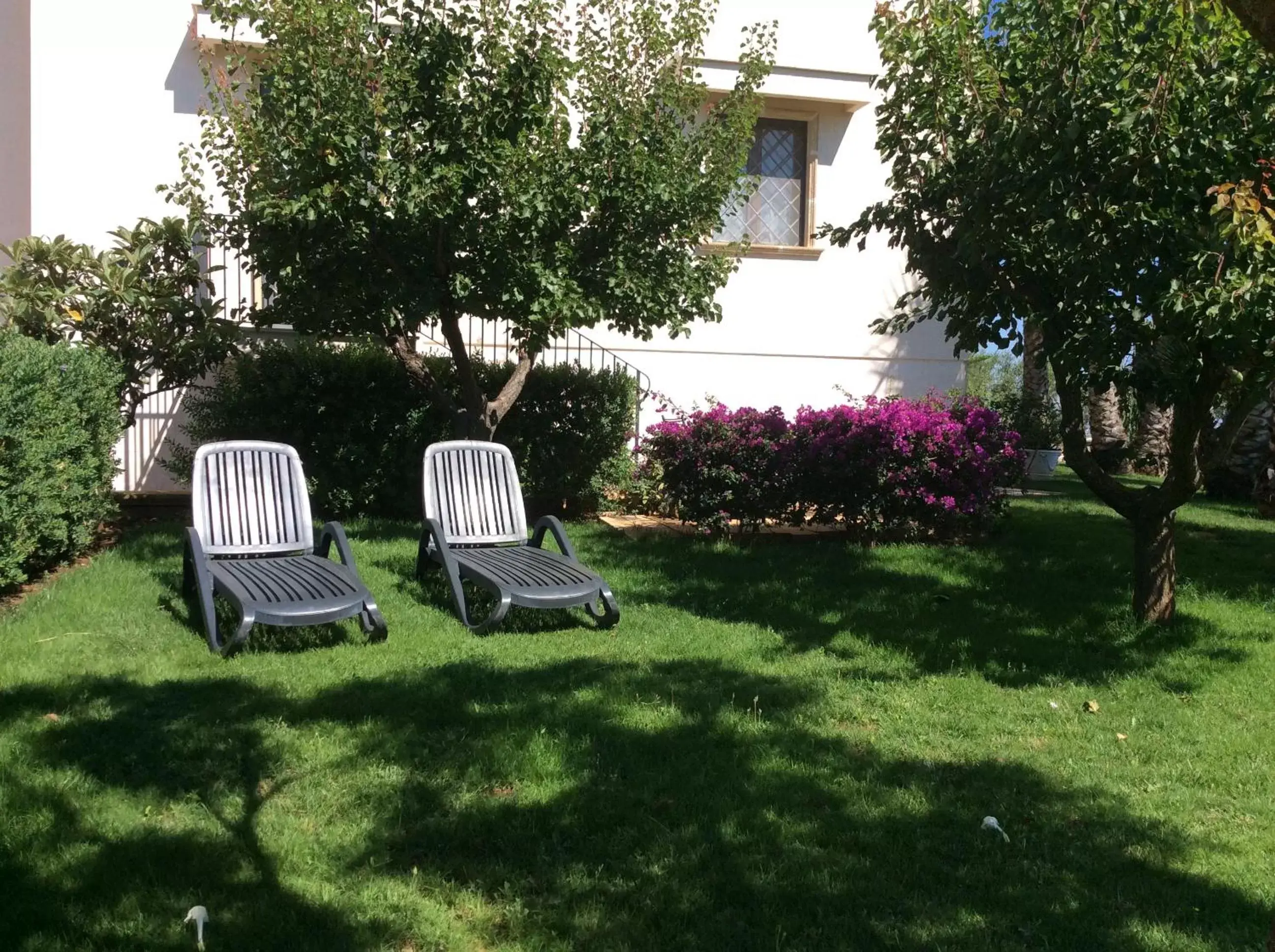 Garden in Villa Narducci