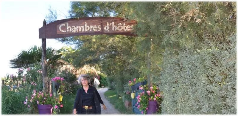 Property building in Gites Chambres d'hotes Mazet du Maréchal Ferrant