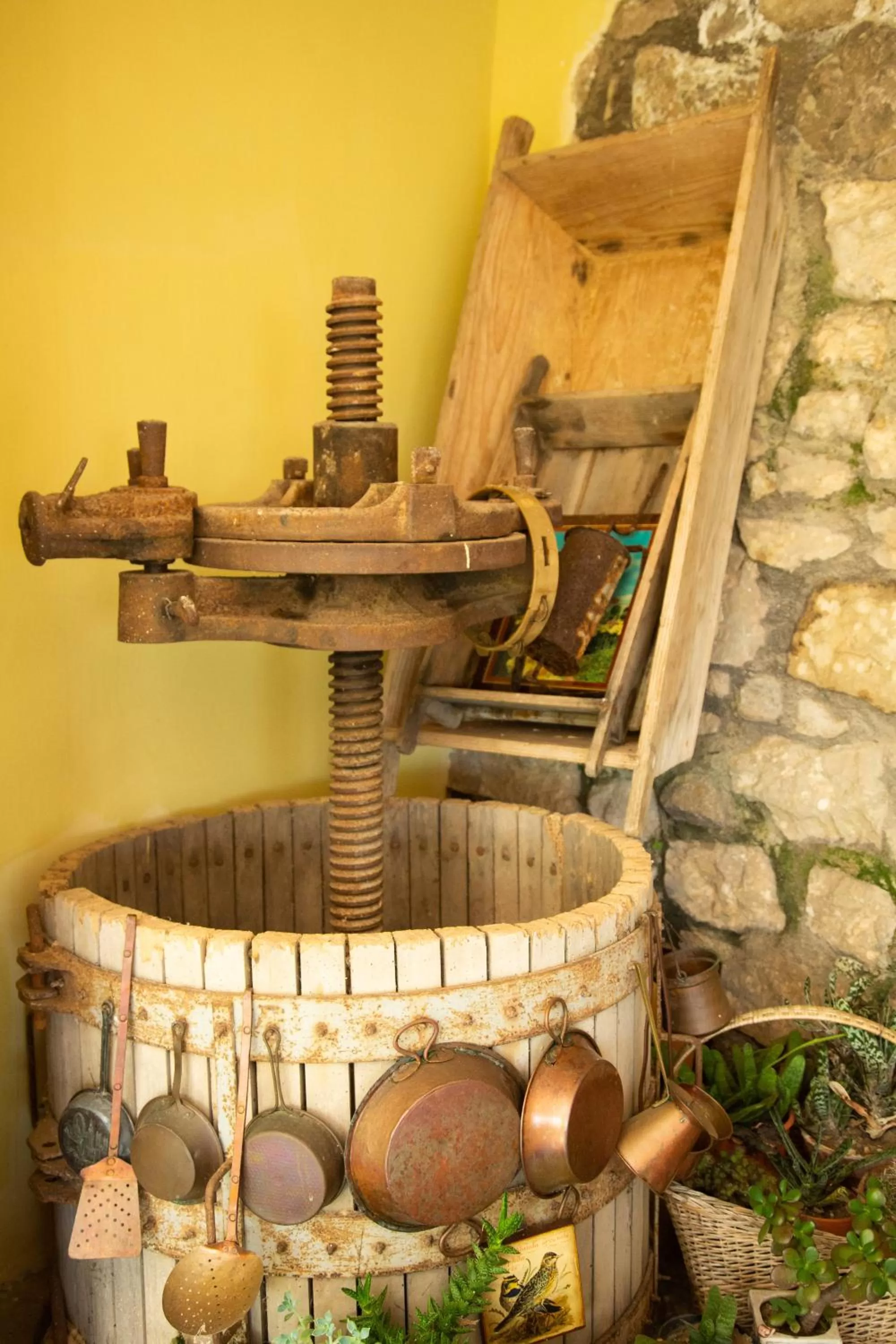 B&b L' Arancio in fiore