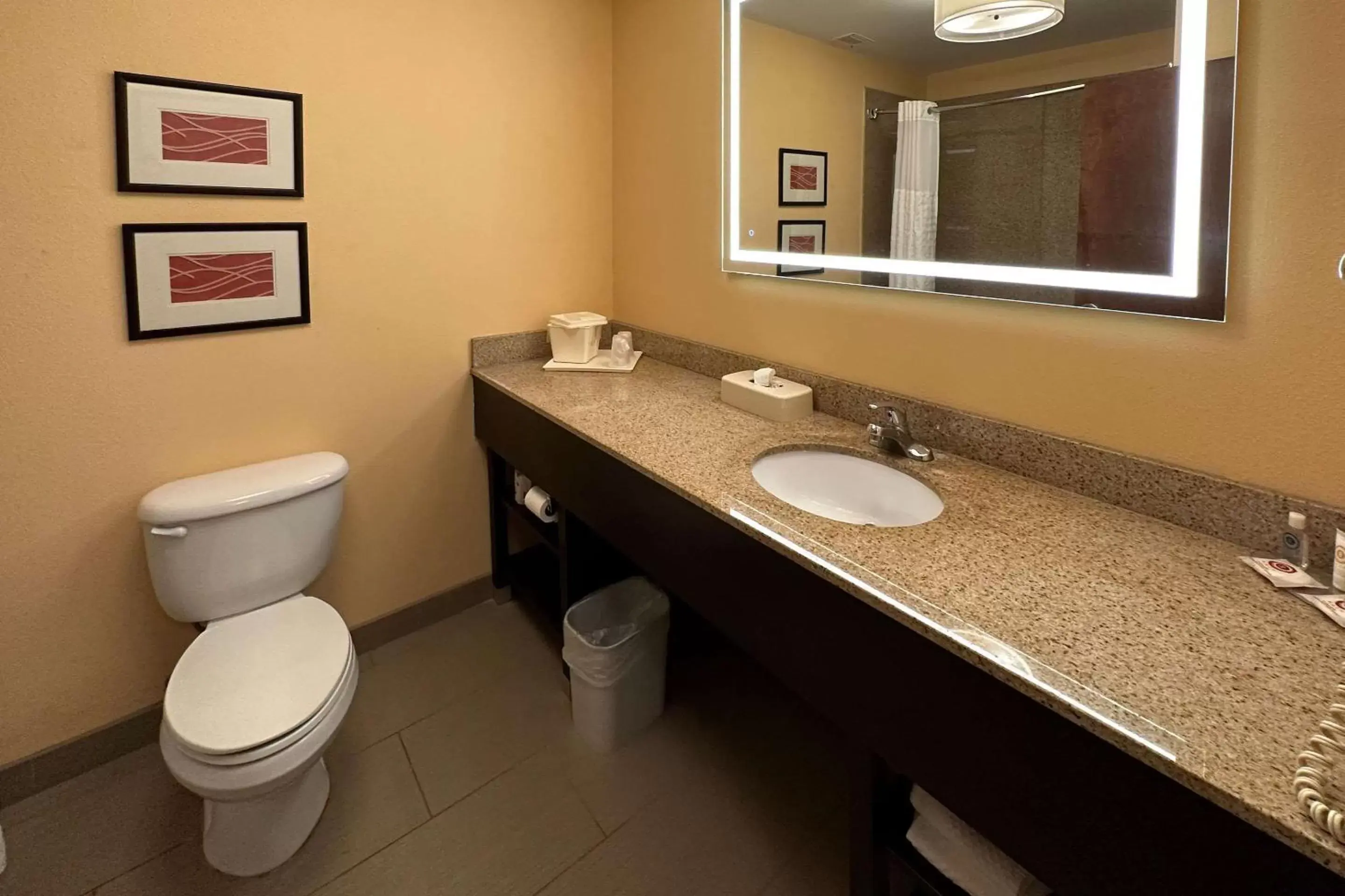 Bedroom, Bathroom in Comfort Inn & Suites Rogersville