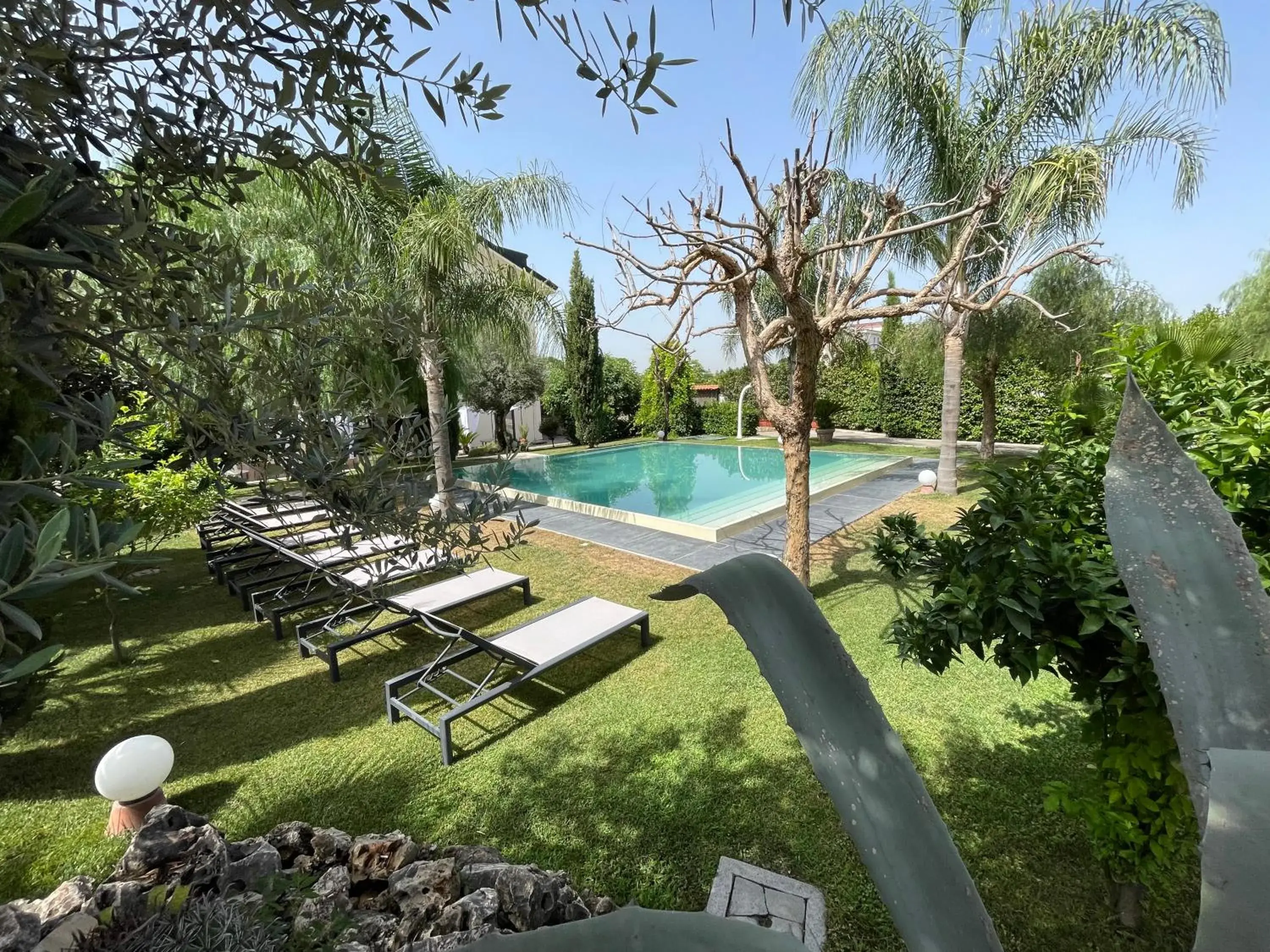 Garden, Swimming Pool in Hotel Casal Dell'Angelo