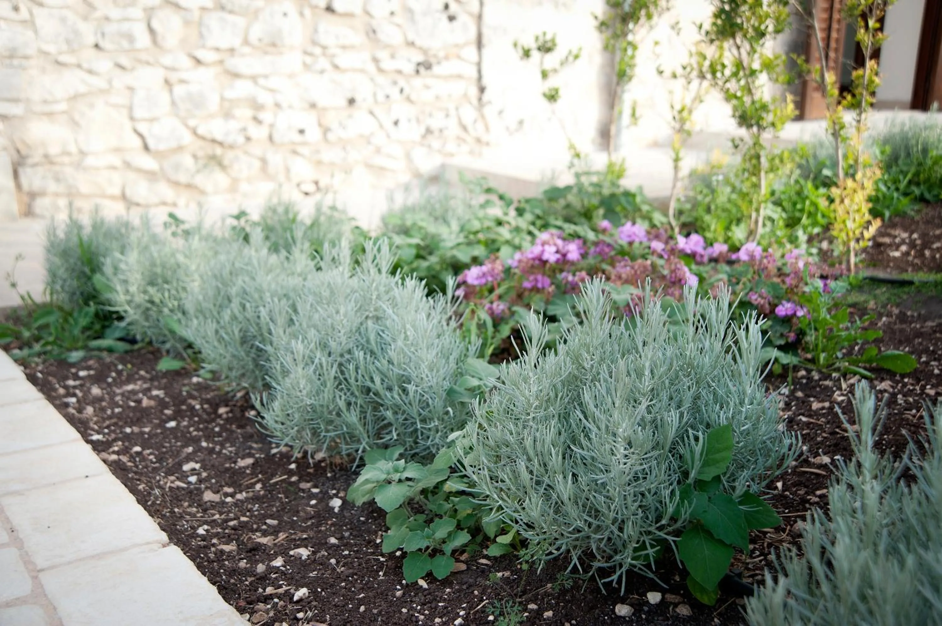 Garden in La Dimora di Spartivento - BW Signature Collection