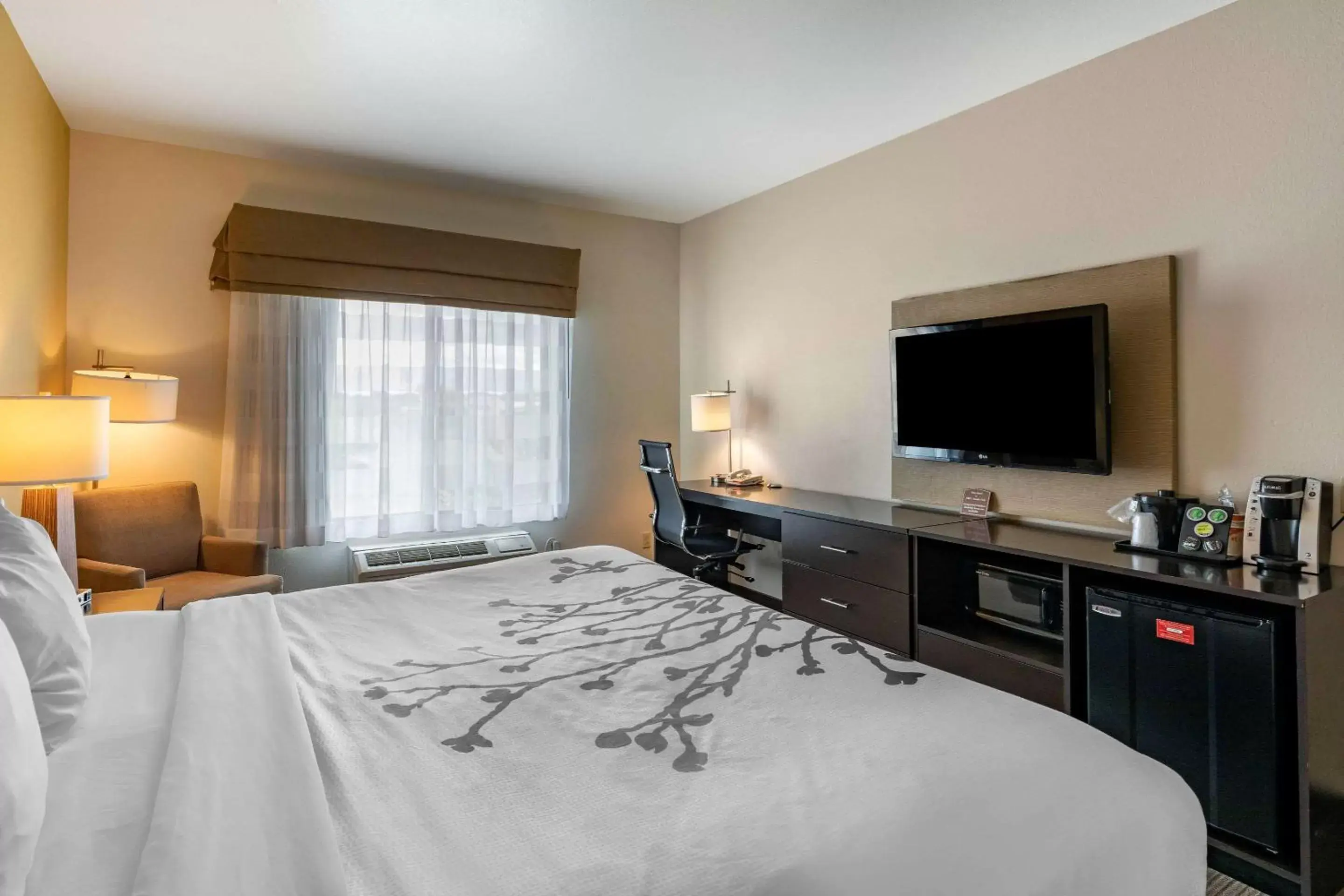 Bedroom, TV/Entertainment Center in Sleep Inn & Suites Miles City