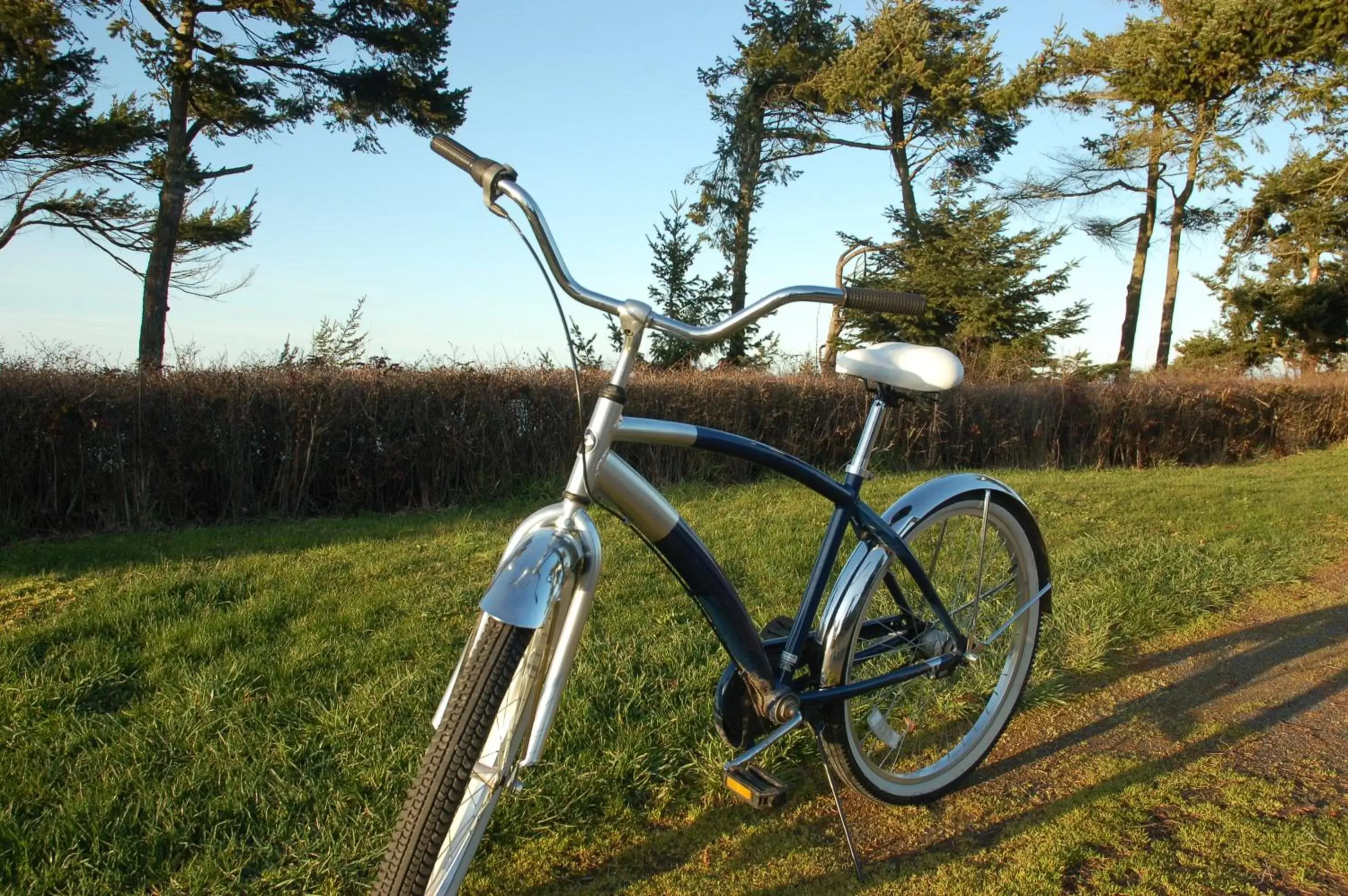 Cycling, Other Activities in Greenhouse Inn by the Bay