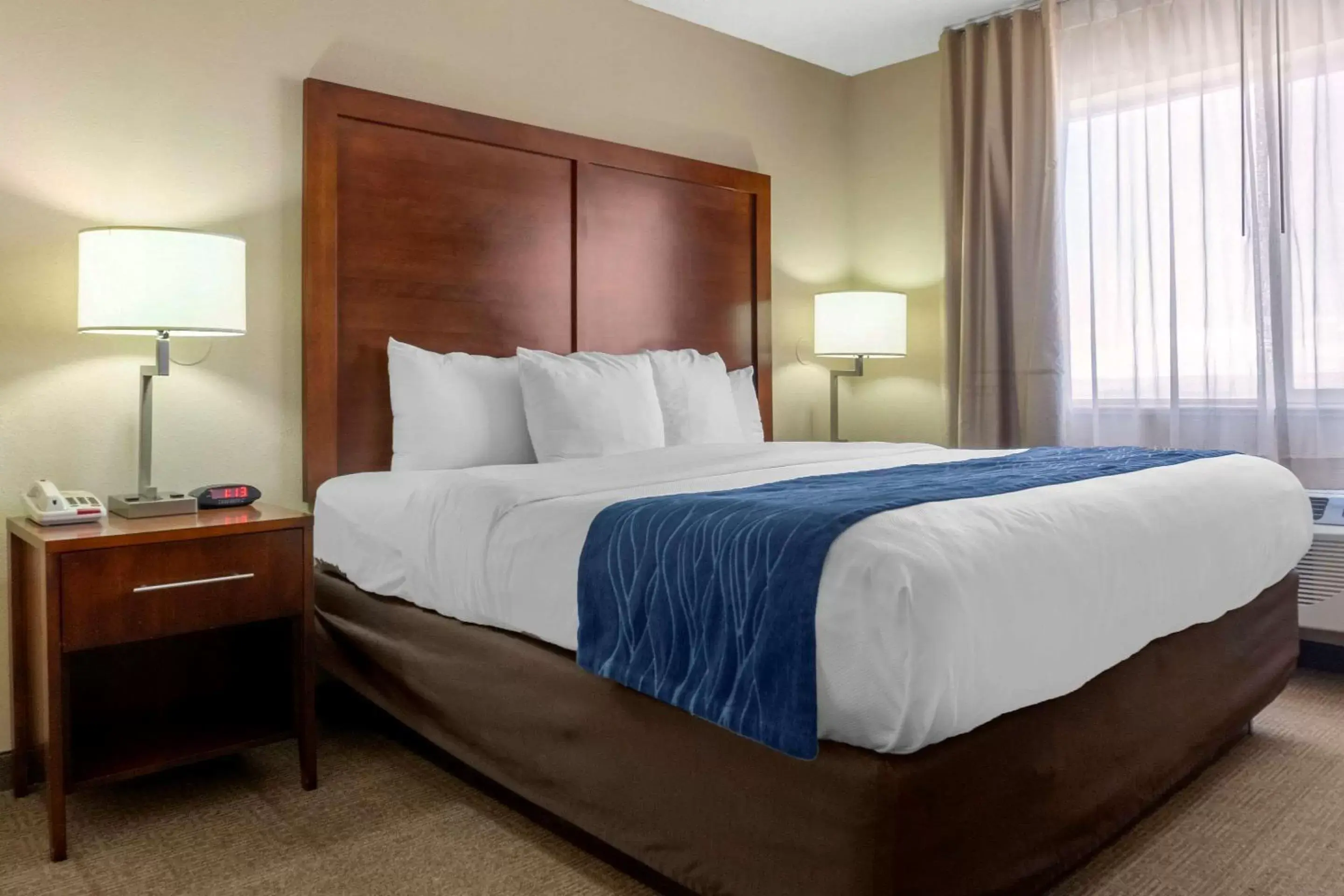 Photo of the whole room, Bed in Comfort Inn Albuquerque Airport