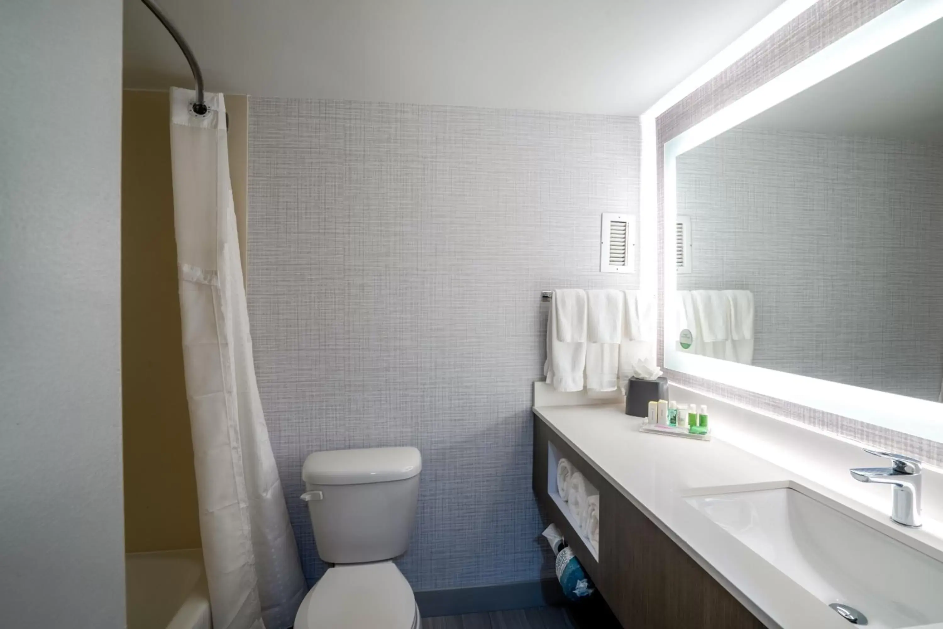 Bathroom in Holiday Inn Huntsville - Research Park, an IHG Hotel