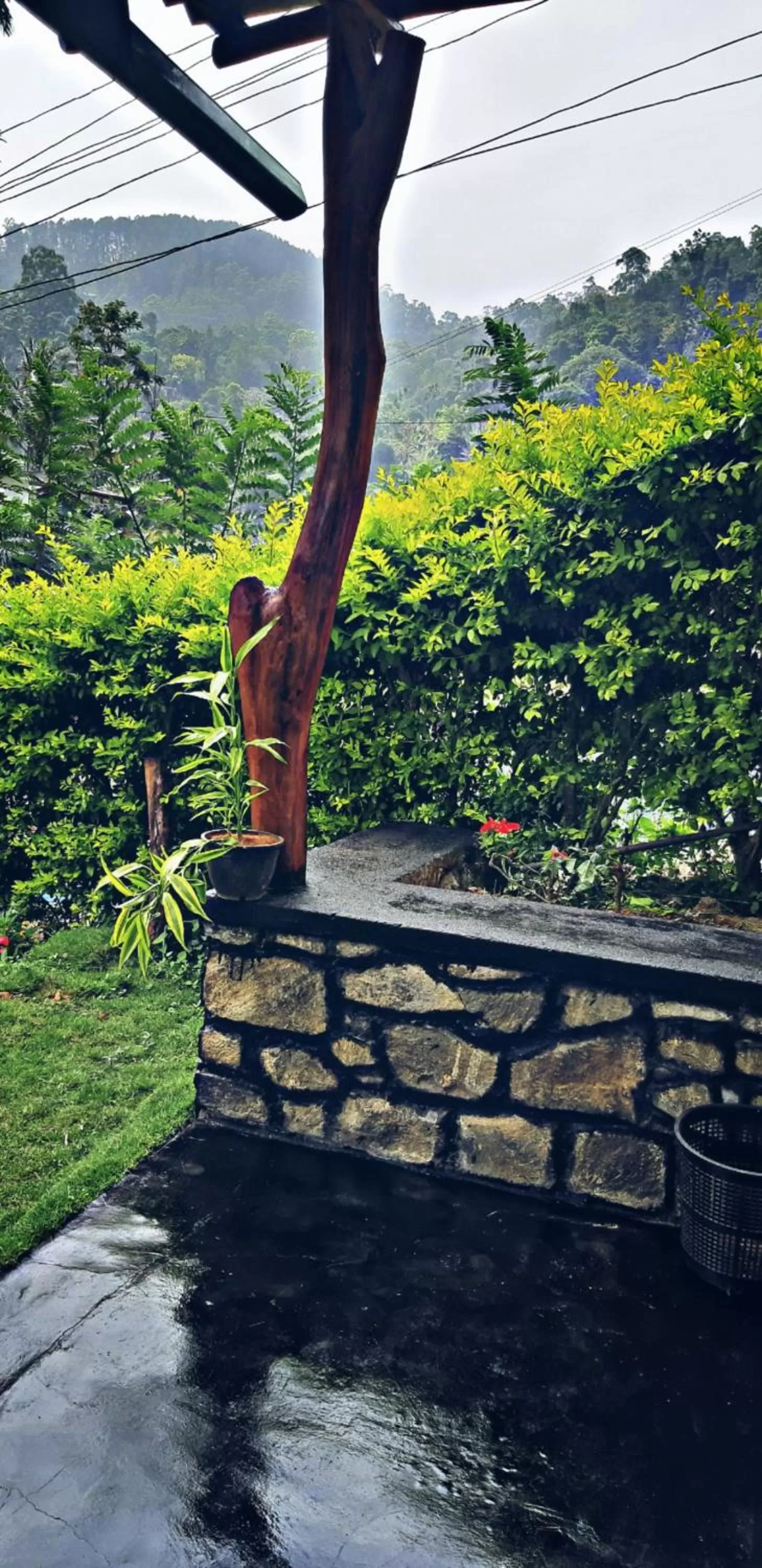 Garden in Cozy Home Stay