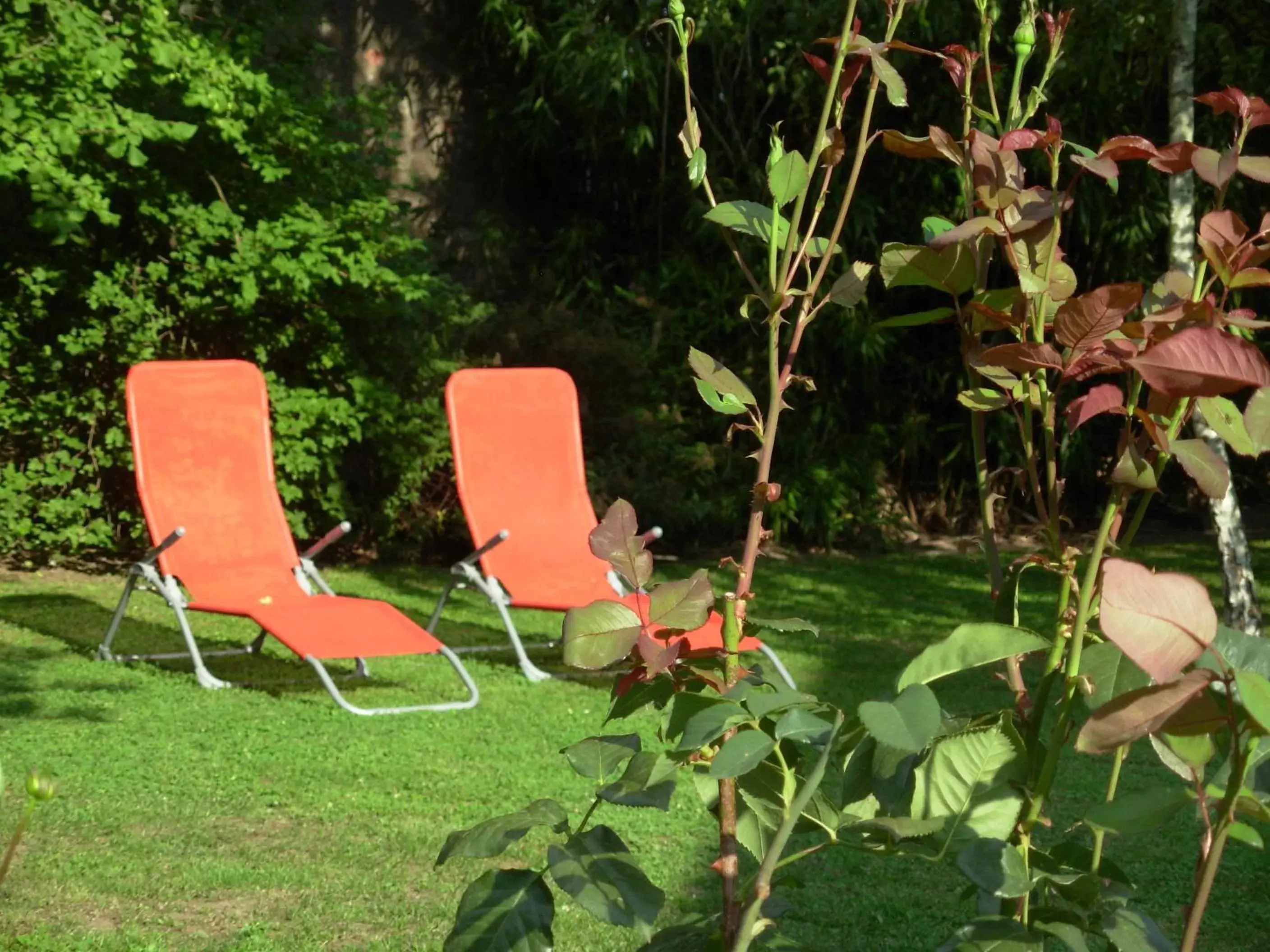 Patio, Garden in La Grange du Bourg