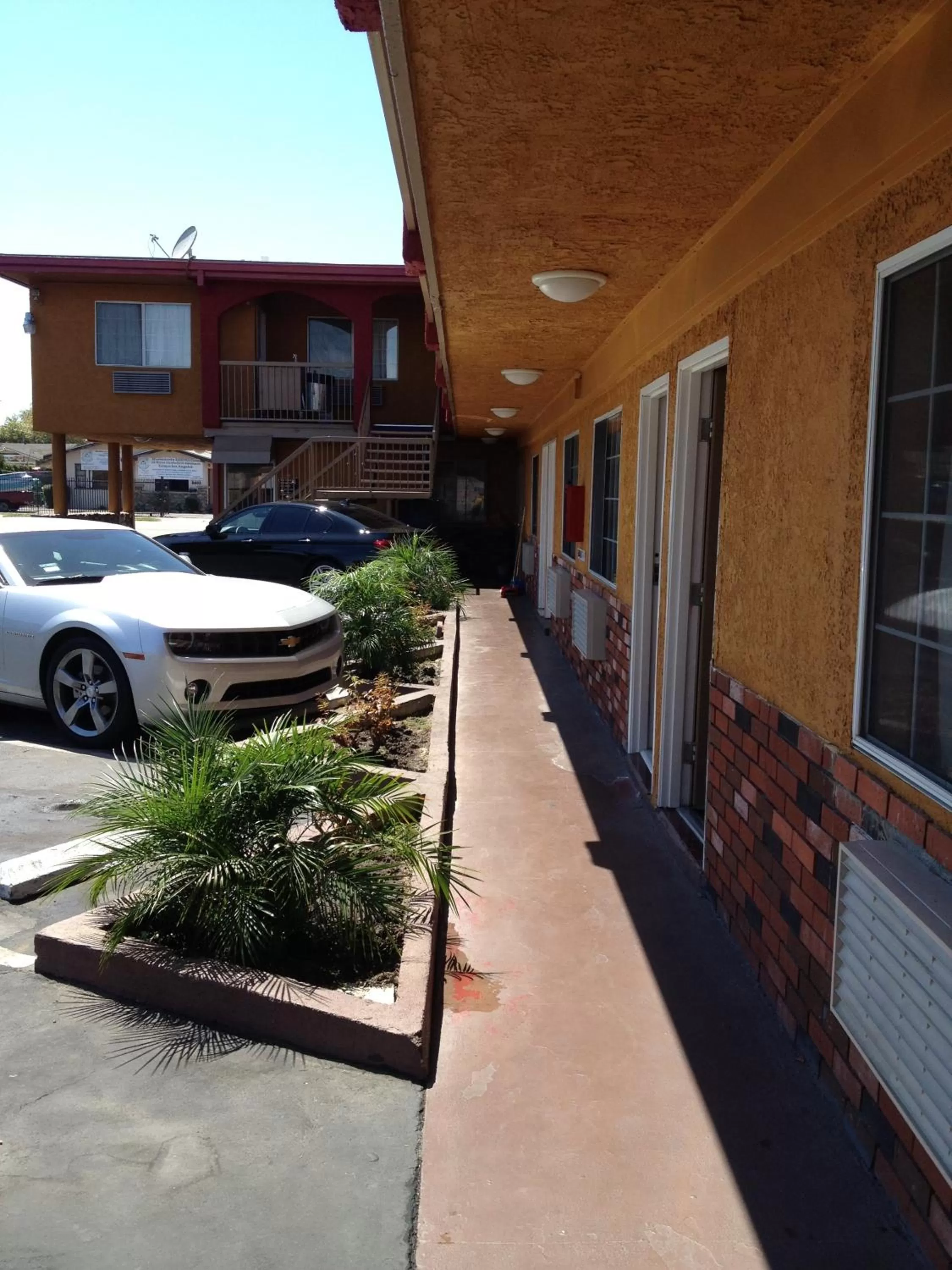 Decorative detail in Hyde Park Motel