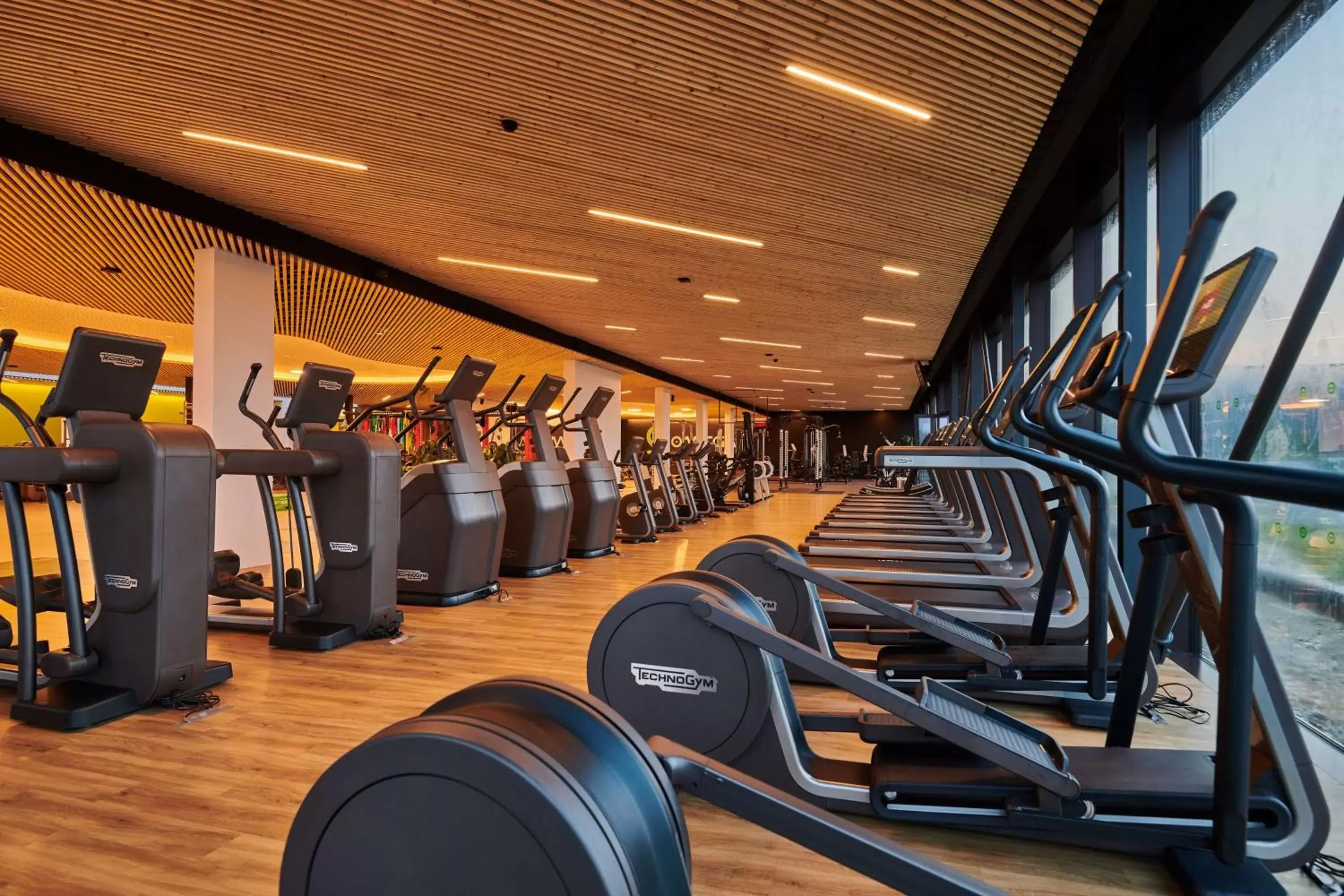 Activities, Fitness Center/Facilities in NH Collection Olomouc Congress