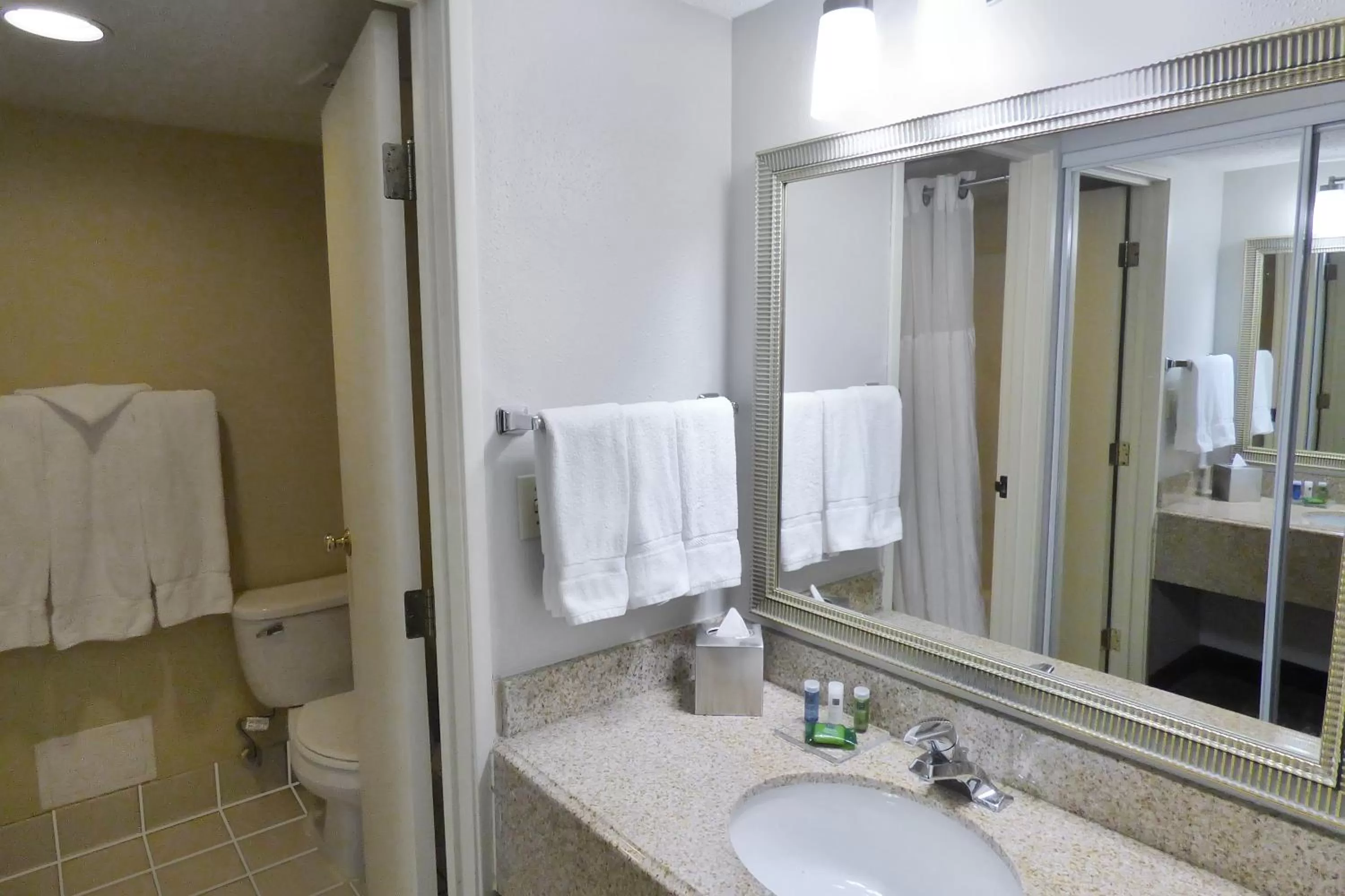 Bathroom in Radisson Akron-Fairlawn Copley