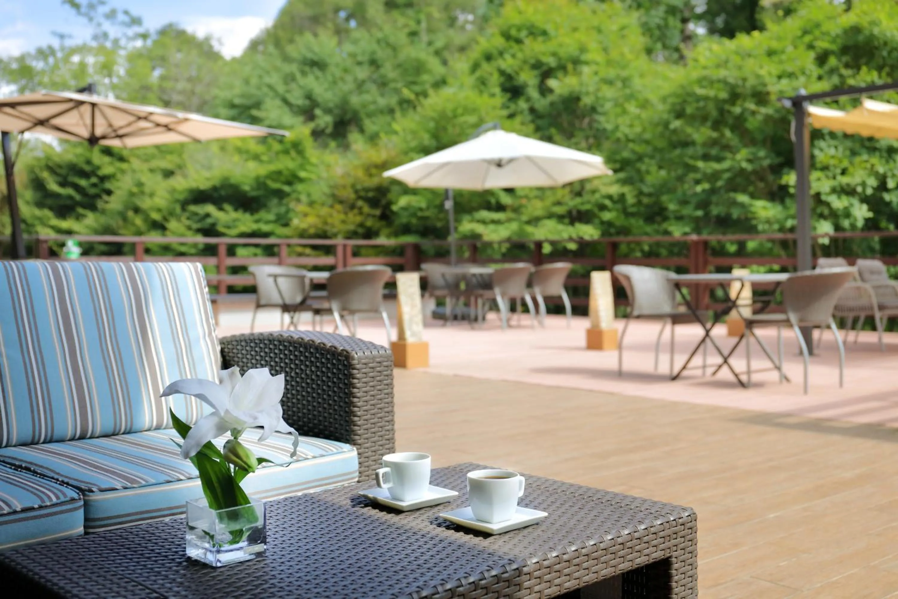 Balcony/Terrace in Hotel Ryu Resort and Spa