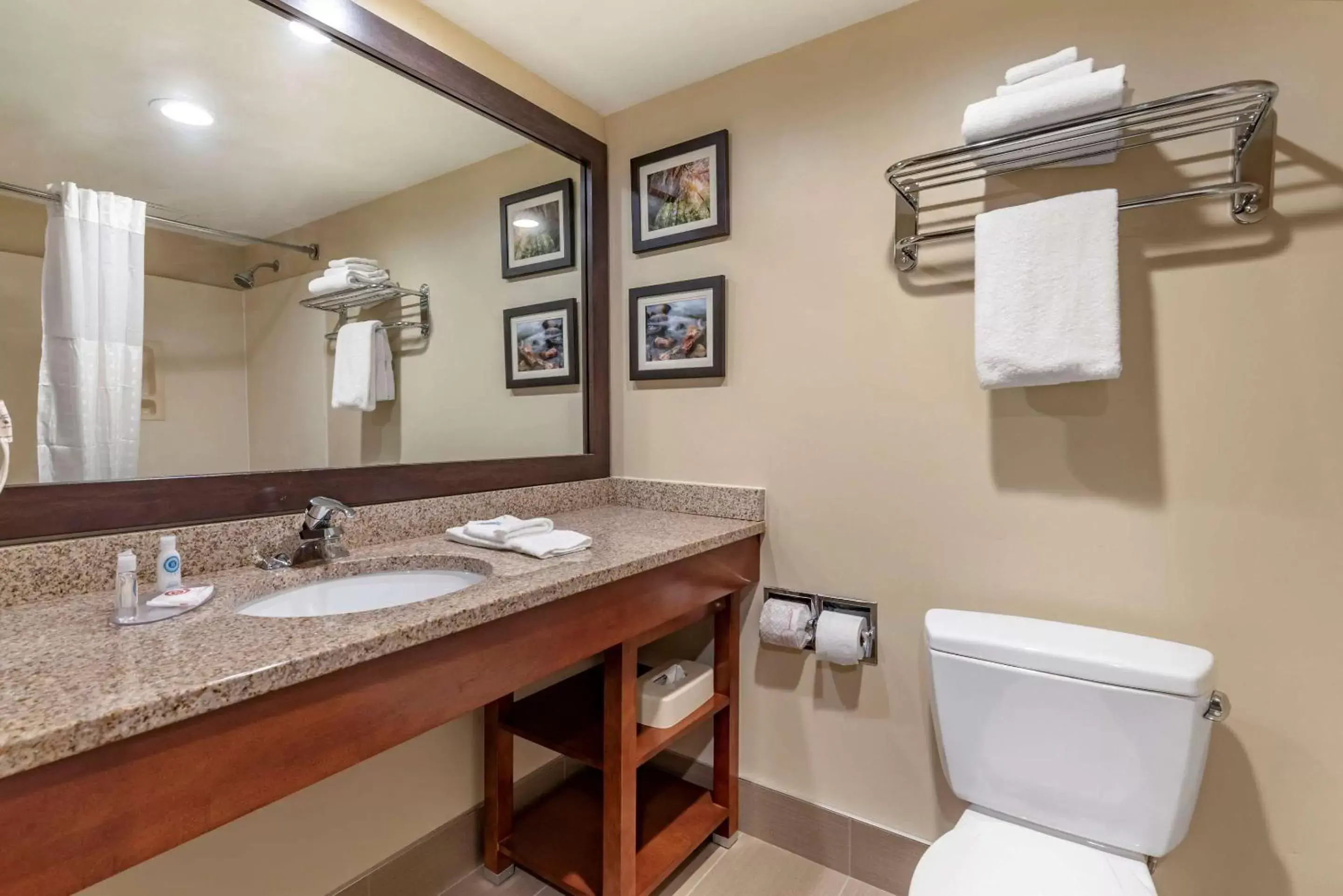 Photo of the whole room, Bathroom in Comfort Inn & Suites Morehead