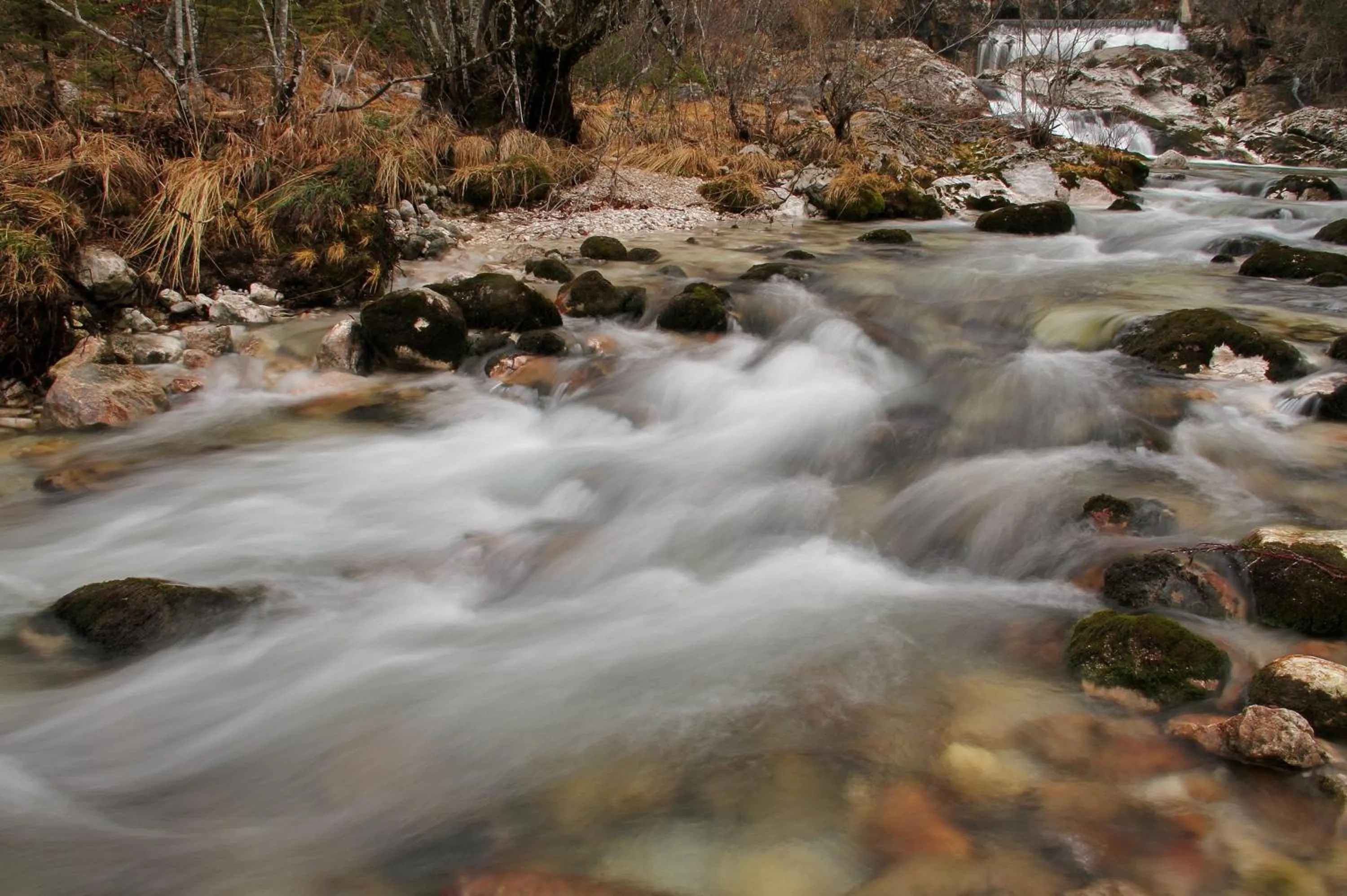 Area and facilities in Hotel Tripič, restaurant and pizzeria