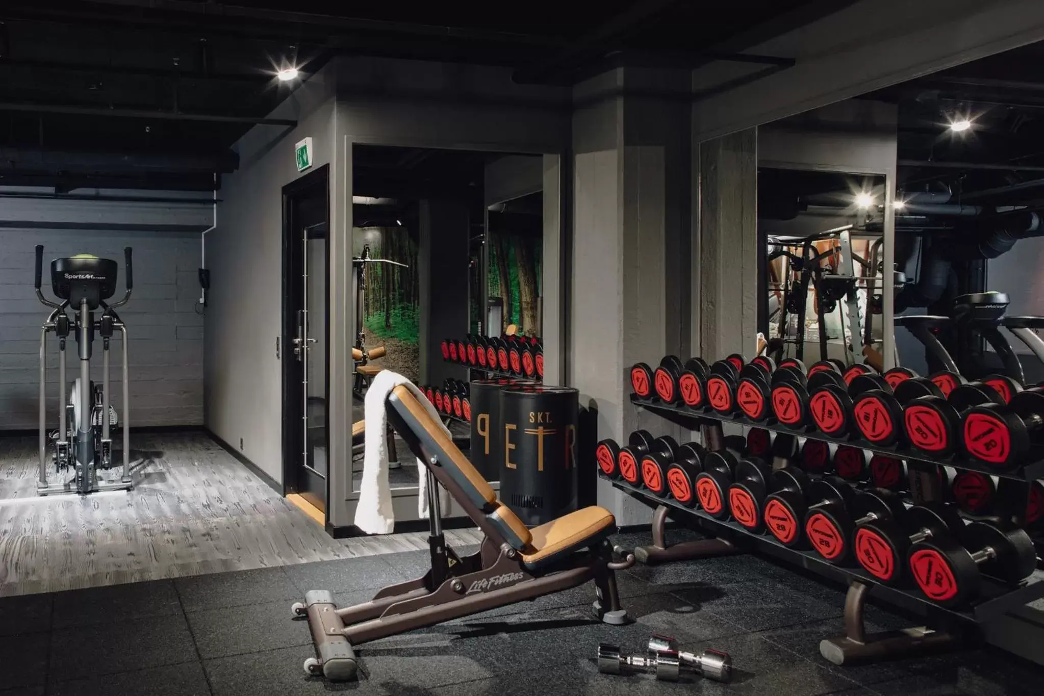 Fitness centre/facilities, Fitness Center/Facilities in Hotel Skt Petri